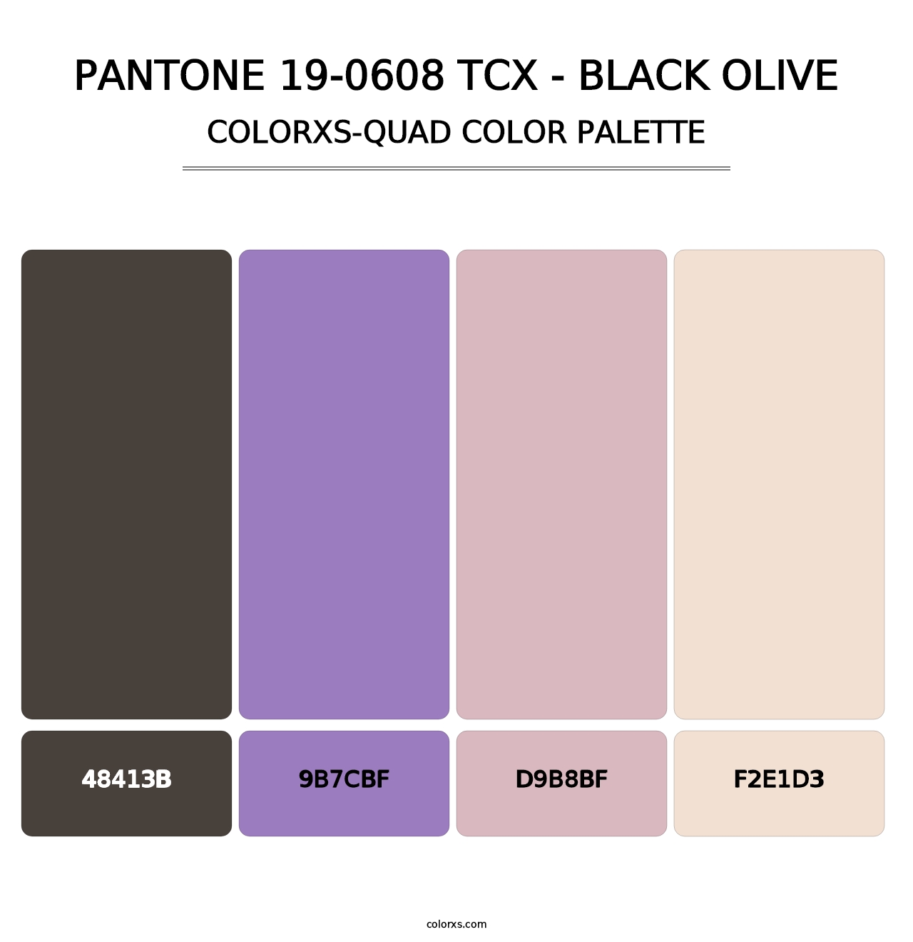 PANTONE 19-0608 TCX - Black Olive - Colorxs Quad Palette