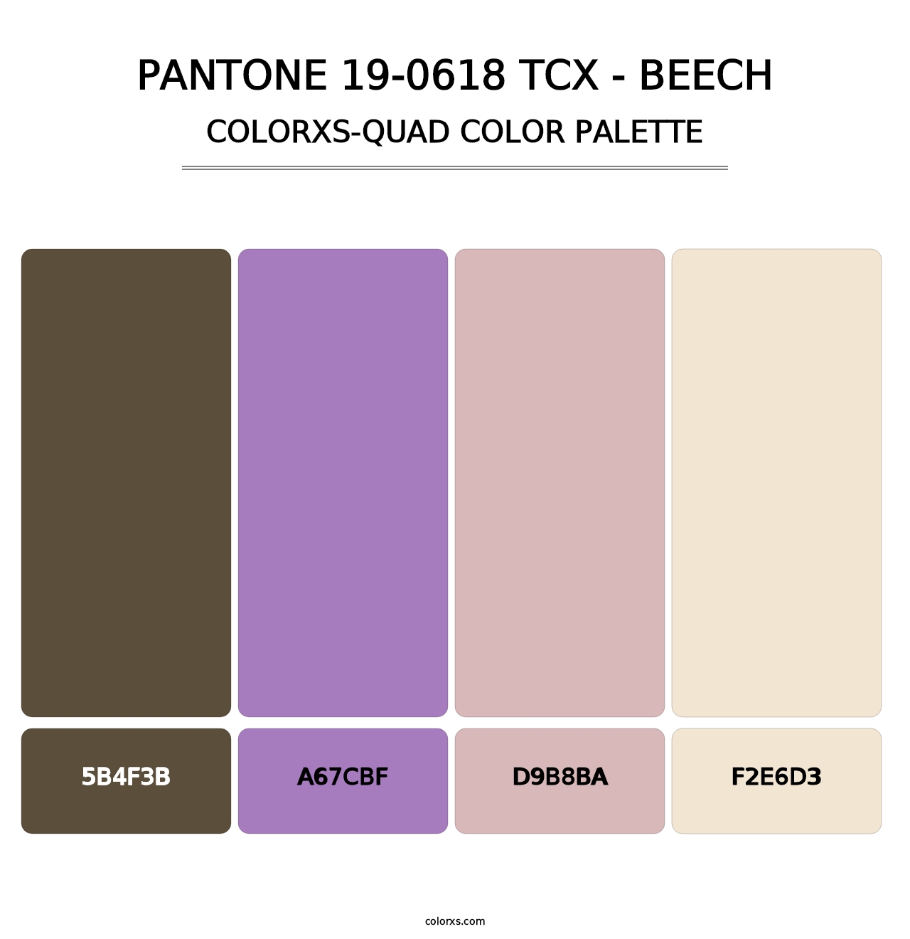 PANTONE 19-0618 TCX - Beech - Colorxs Quad Palette
