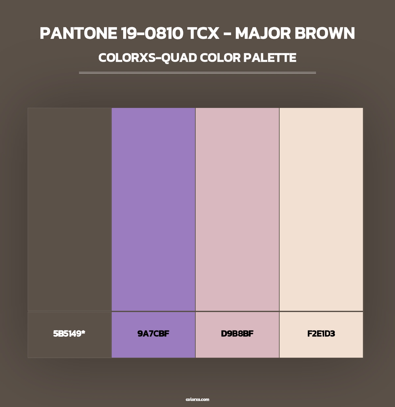 PANTONE 19-0810 TCX - Major Brown - Colorxs Quad Palette