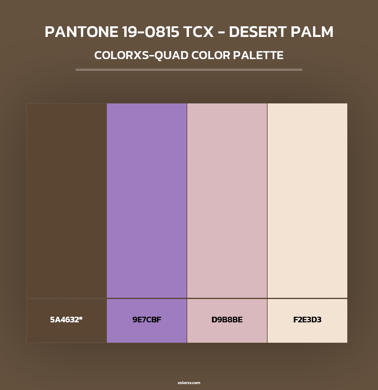 PANTONE 19-0815 TCX - Desert Palm - Colorxs Quad Palette