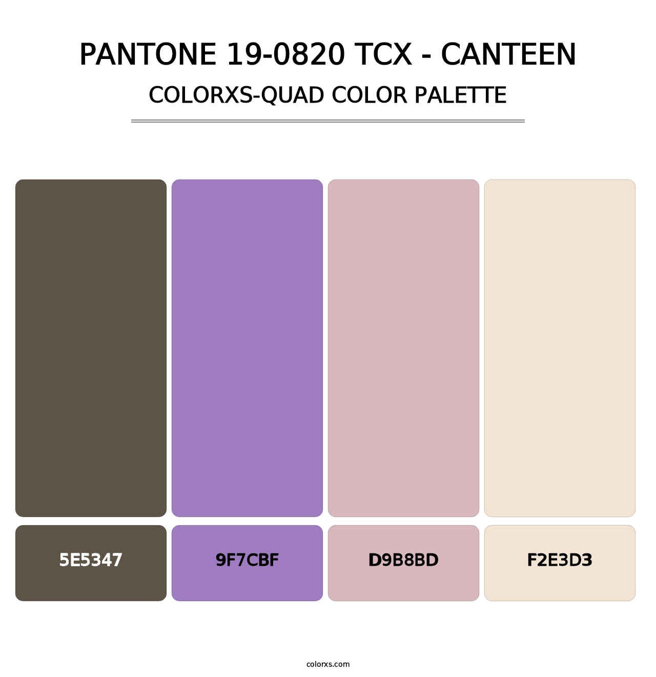 PANTONE 19-0820 TCX - Canteen - Colorxs Quad Palette