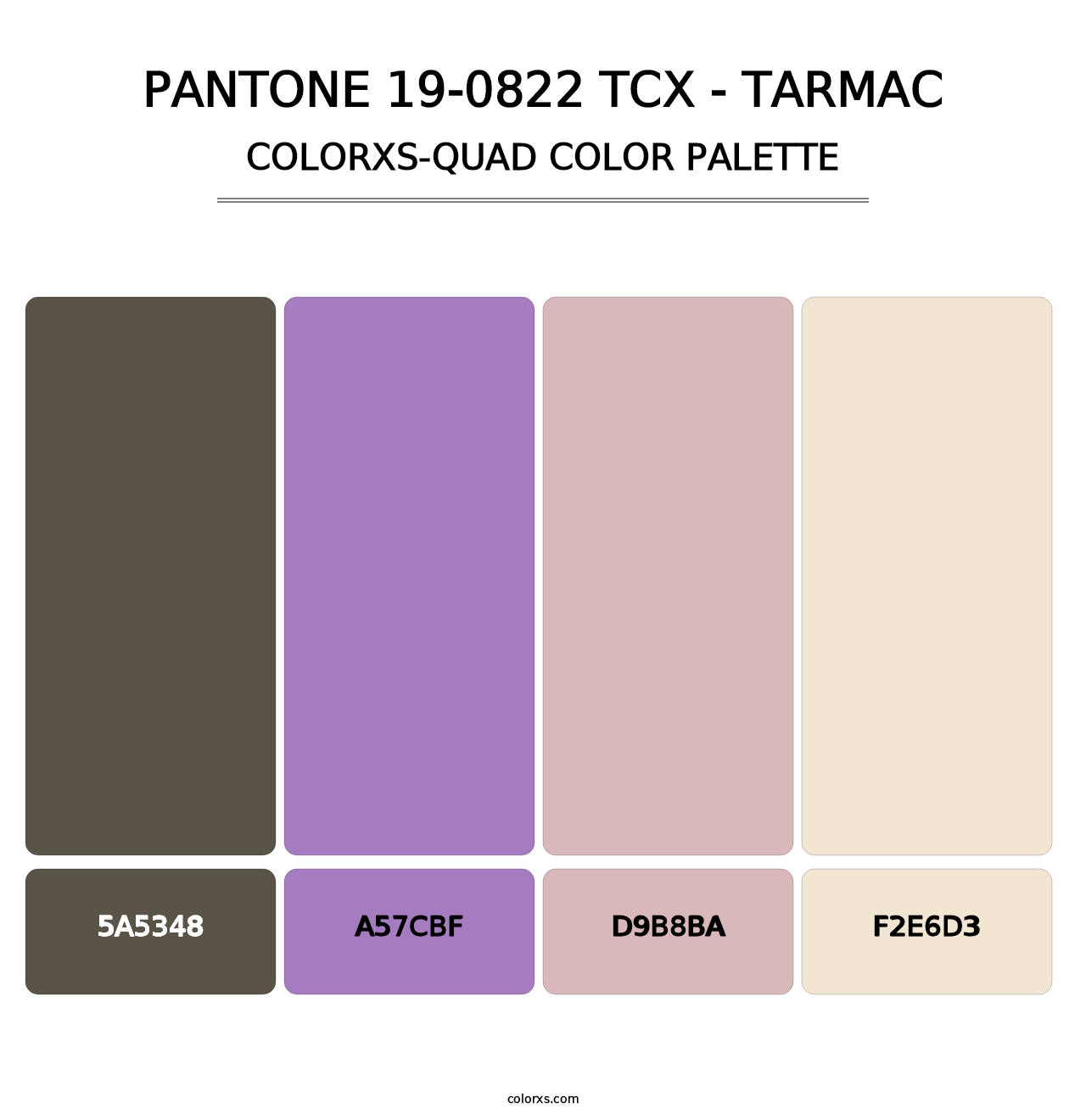 PANTONE 19-0822 TCX - Tarmac - Colorxs Quad Palette