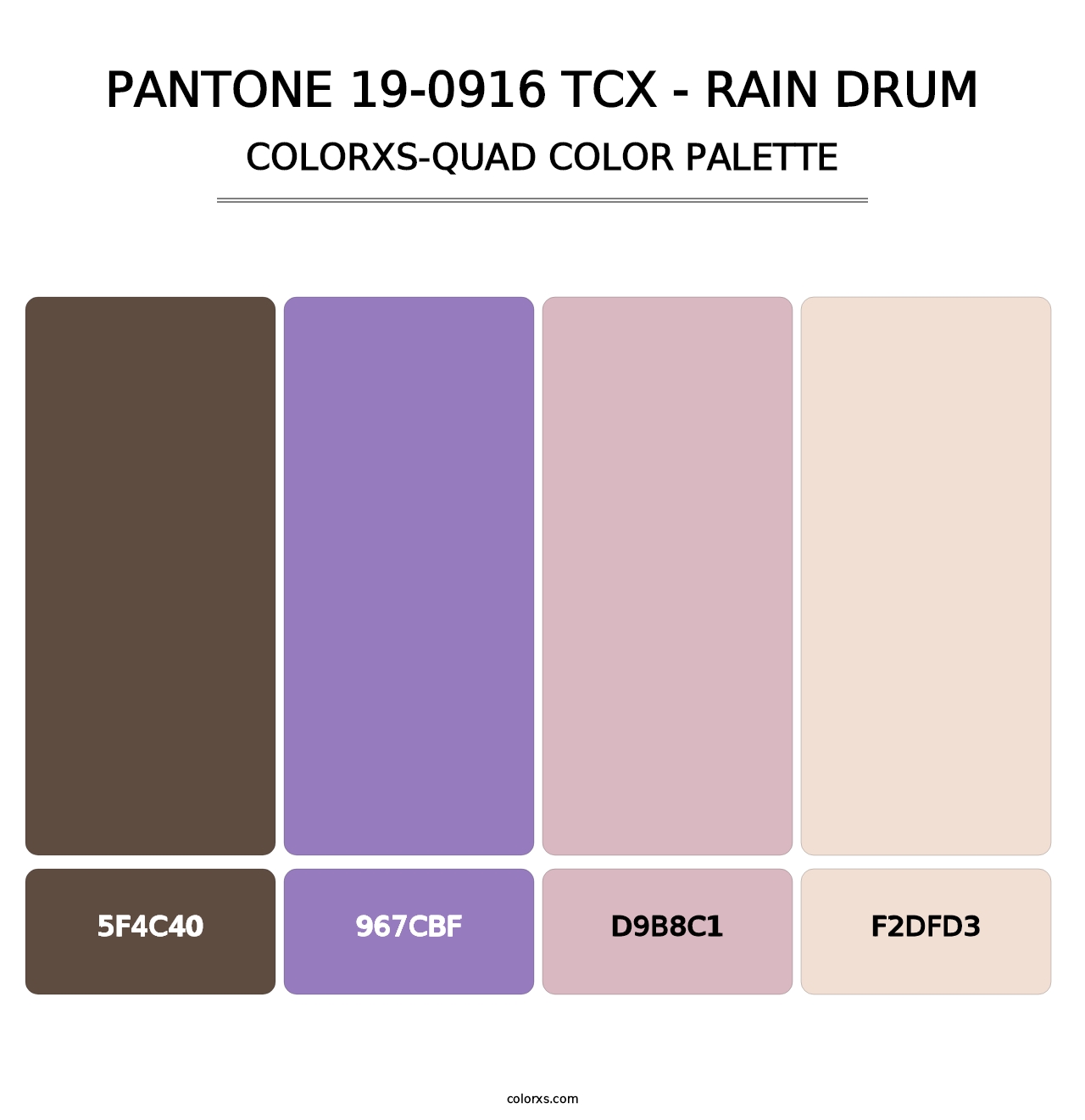 PANTONE 19-0916 TCX - Rain Drum - Colorxs Quad Palette