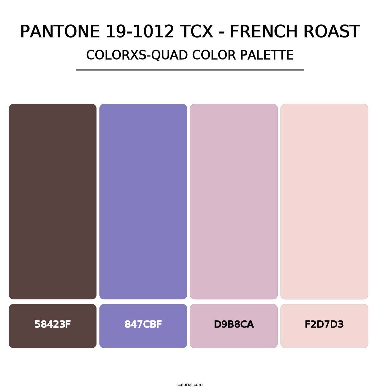 PANTONE 19-1012 TCX - French Roast - Colorxs Quad Palette
