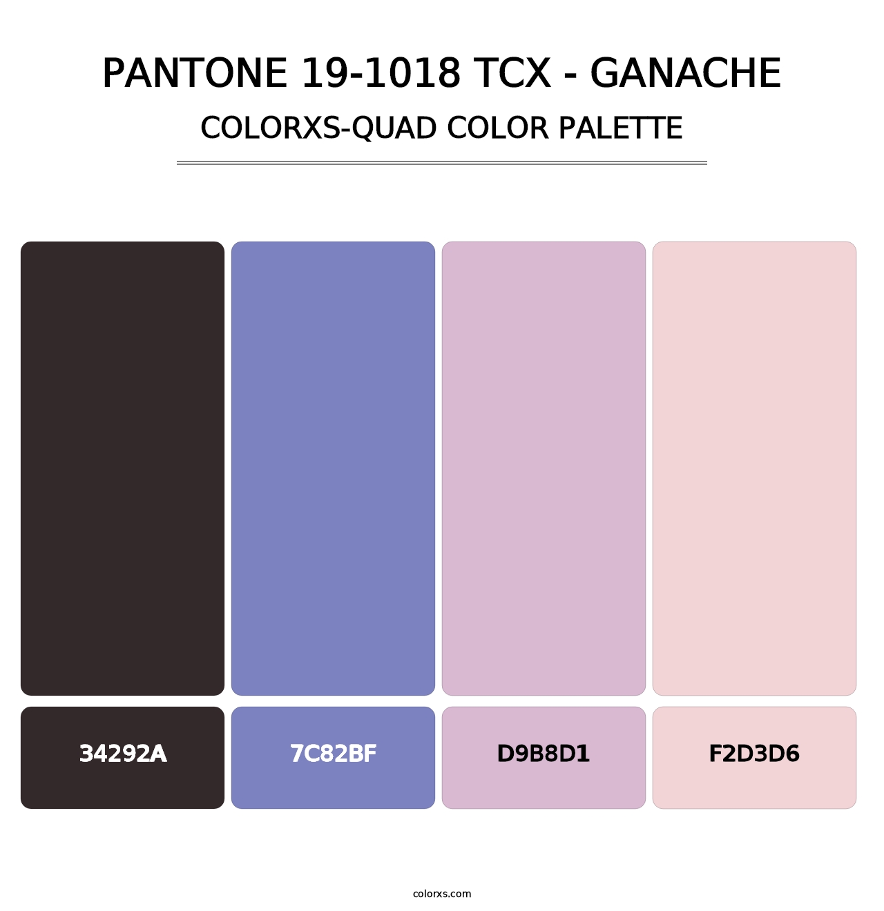 PANTONE 19-1018 TCX - Ganache - Colorxs Quad Palette