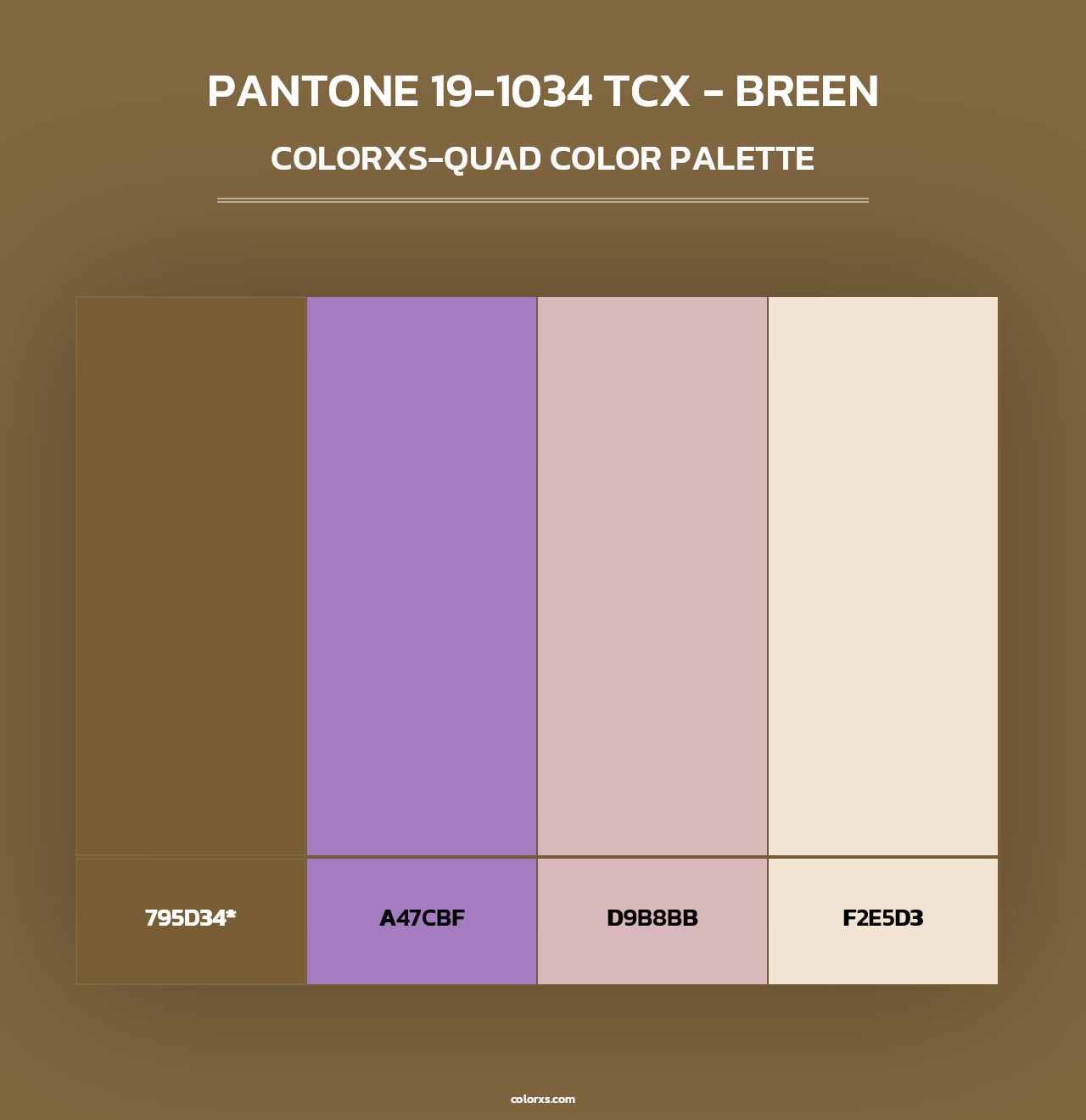 PANTONE 19-1034 TCX - Breen - Colorxs Quad Palette