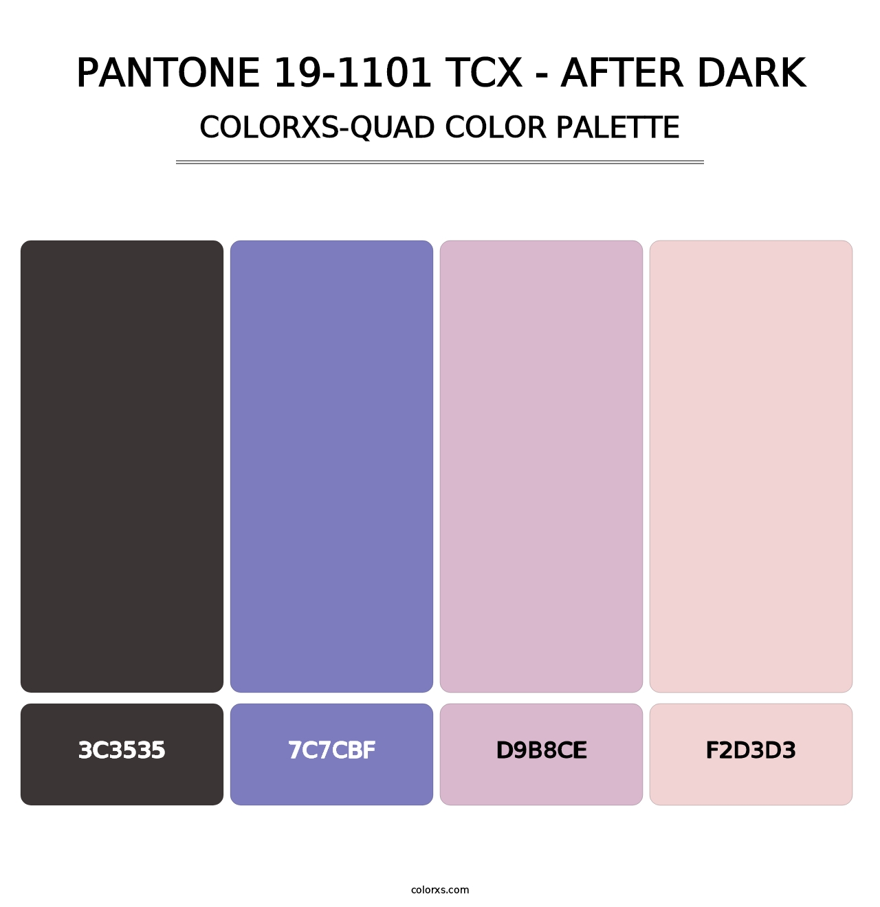 PANTONE 19-1101 TCX - After Dark - Colorxs Quad Palette