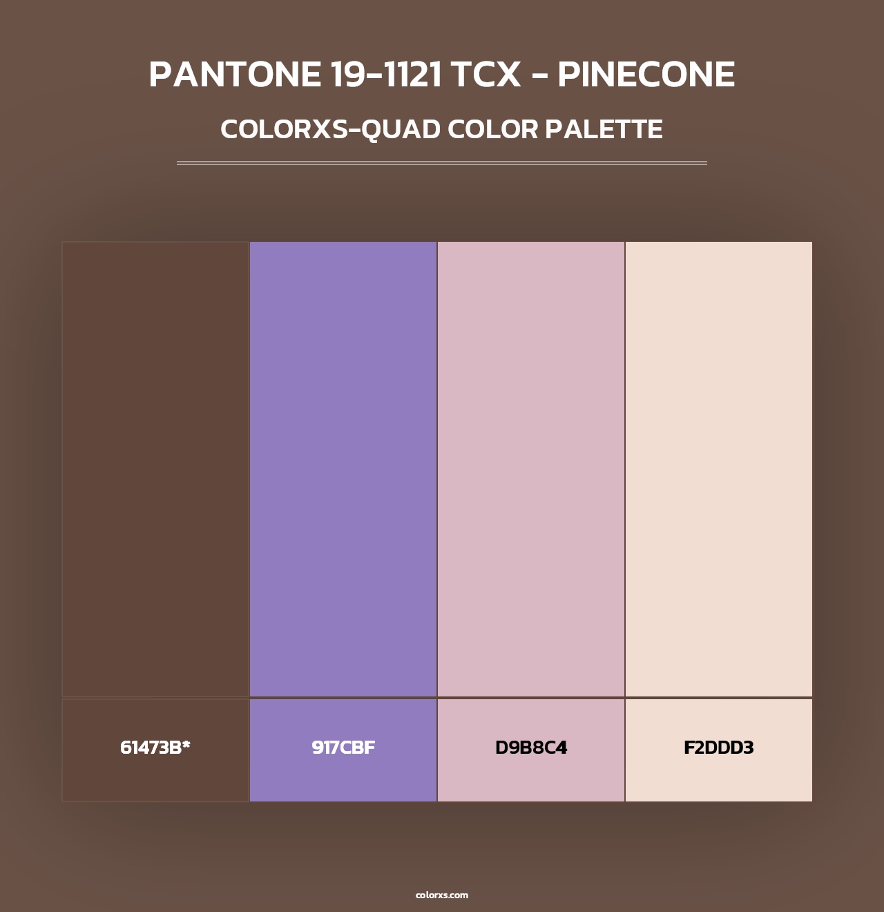 PANTONE 19-1121 TCX - Pinecone - Colorxs Quad Palette
