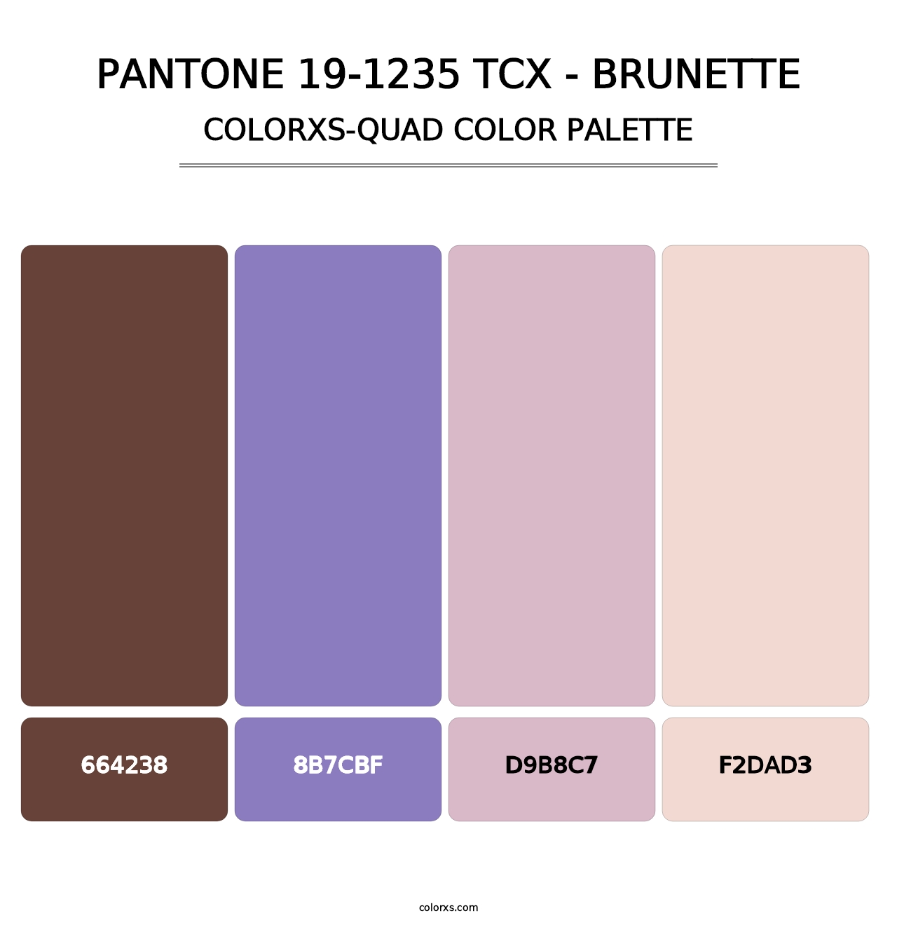 PANTONE 19-1235 TCX - Brunette - Colorxs Quad Palette
