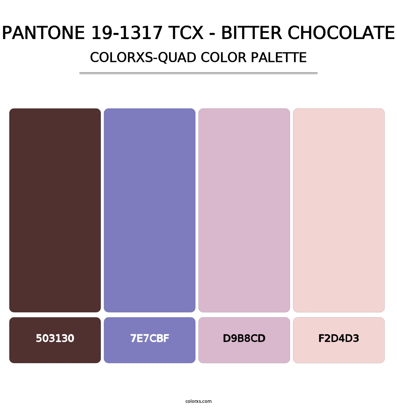 PANTONE 19-1317 TCX - Bitter Chocolate - Colorxs Quad Palette