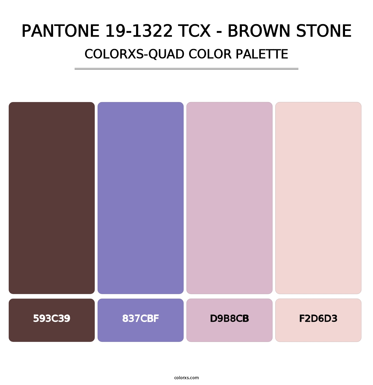 PANTONE 19-1322 TCX - Brown Stone - Colorxs Quad Palette