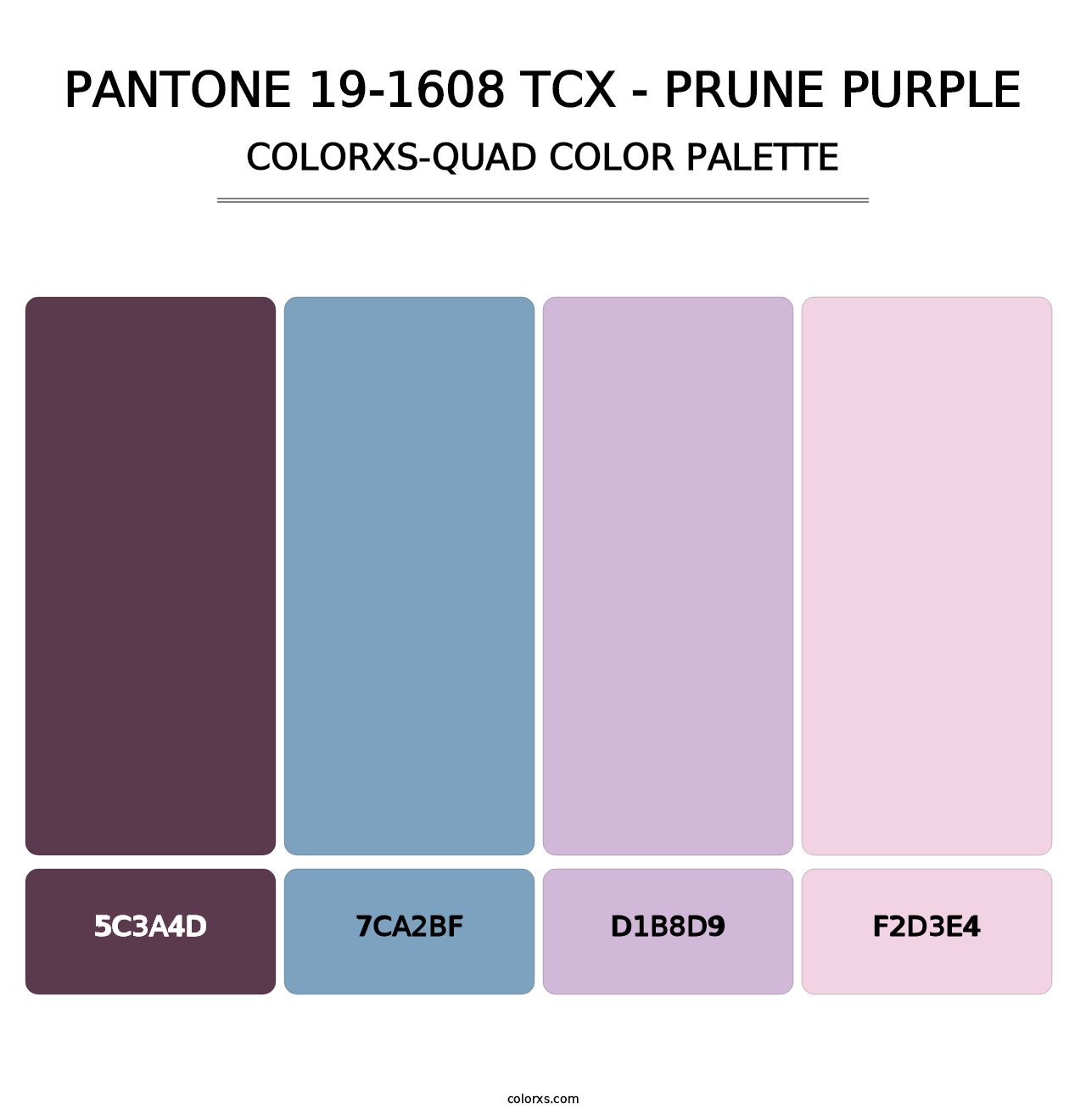 PANTONE 19-1608 TCX - Prune Purple - Colorxs Quad Palette