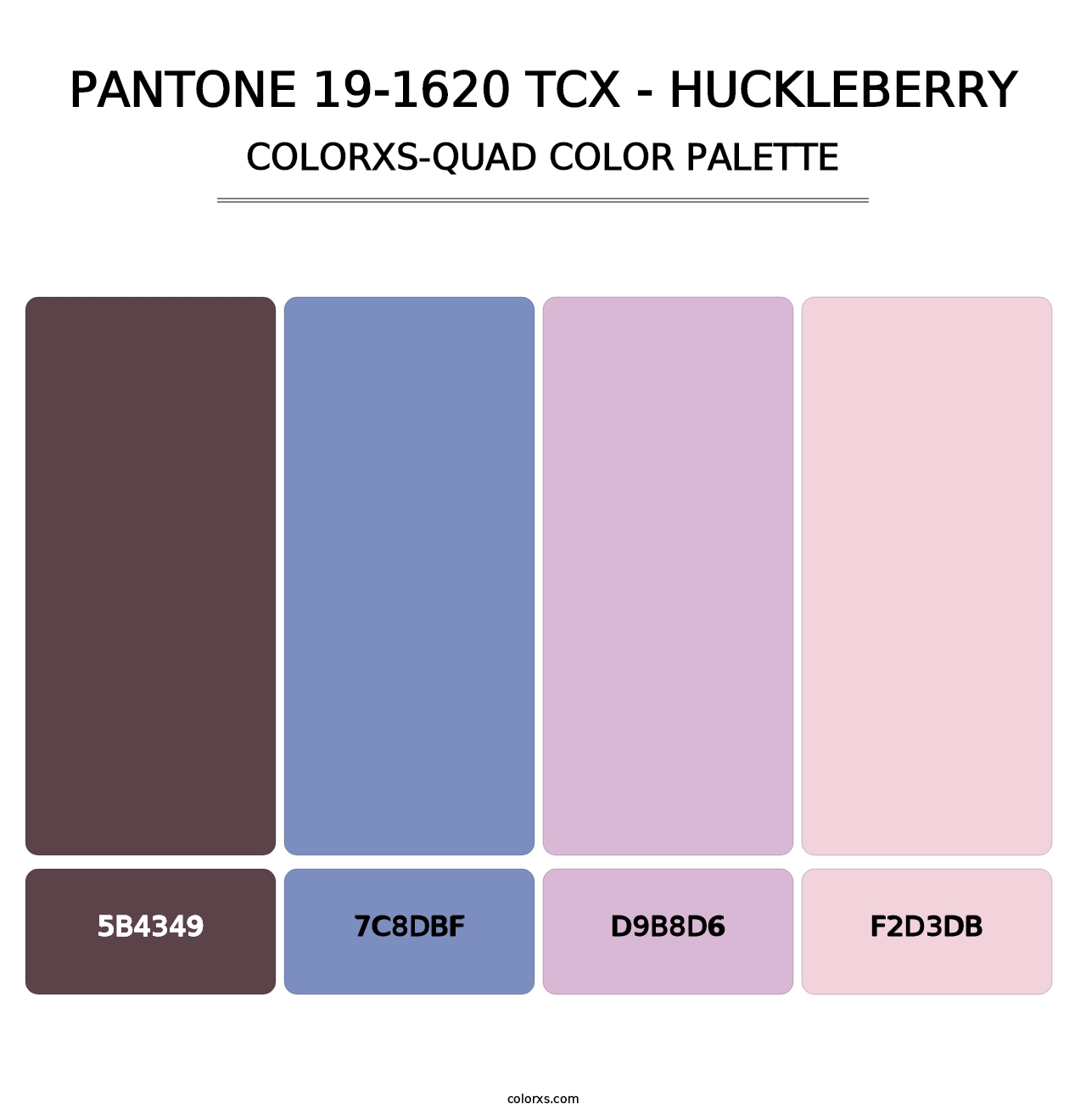PANTONE 19-1620 TCX - Huckleberry - Colorxs Quad Palette