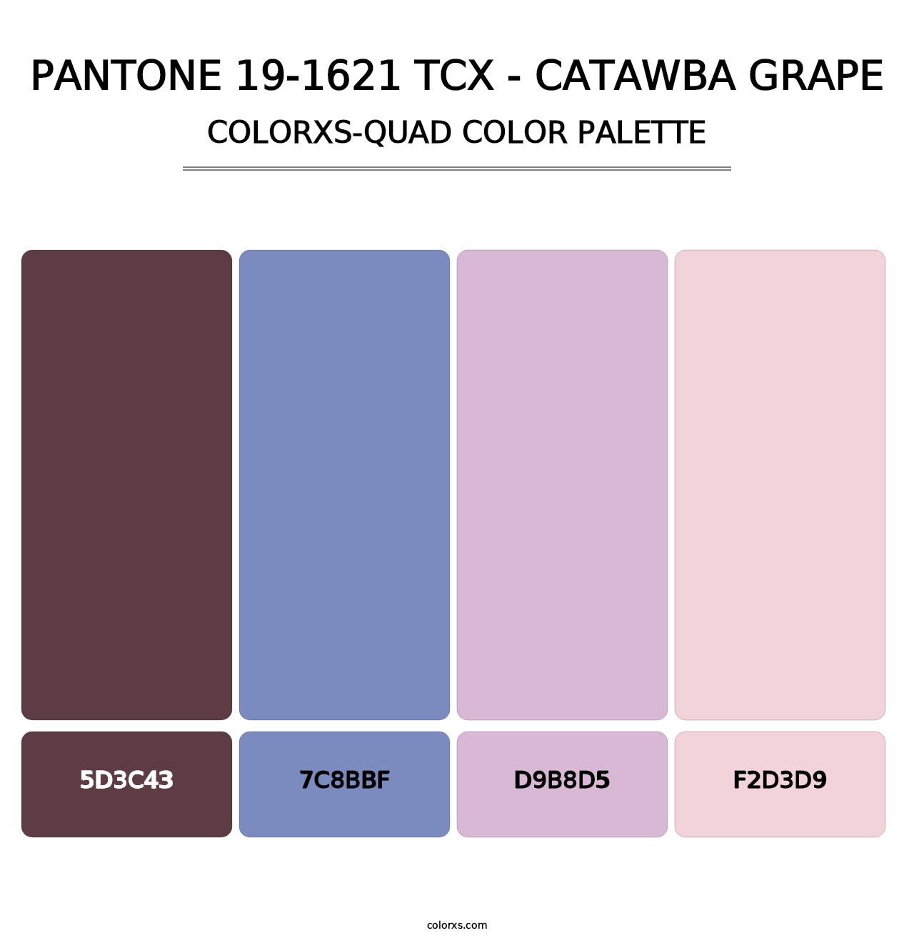 PANTONE 19-1621 TCX - Catawba Grape - Colorxs Quad Palette