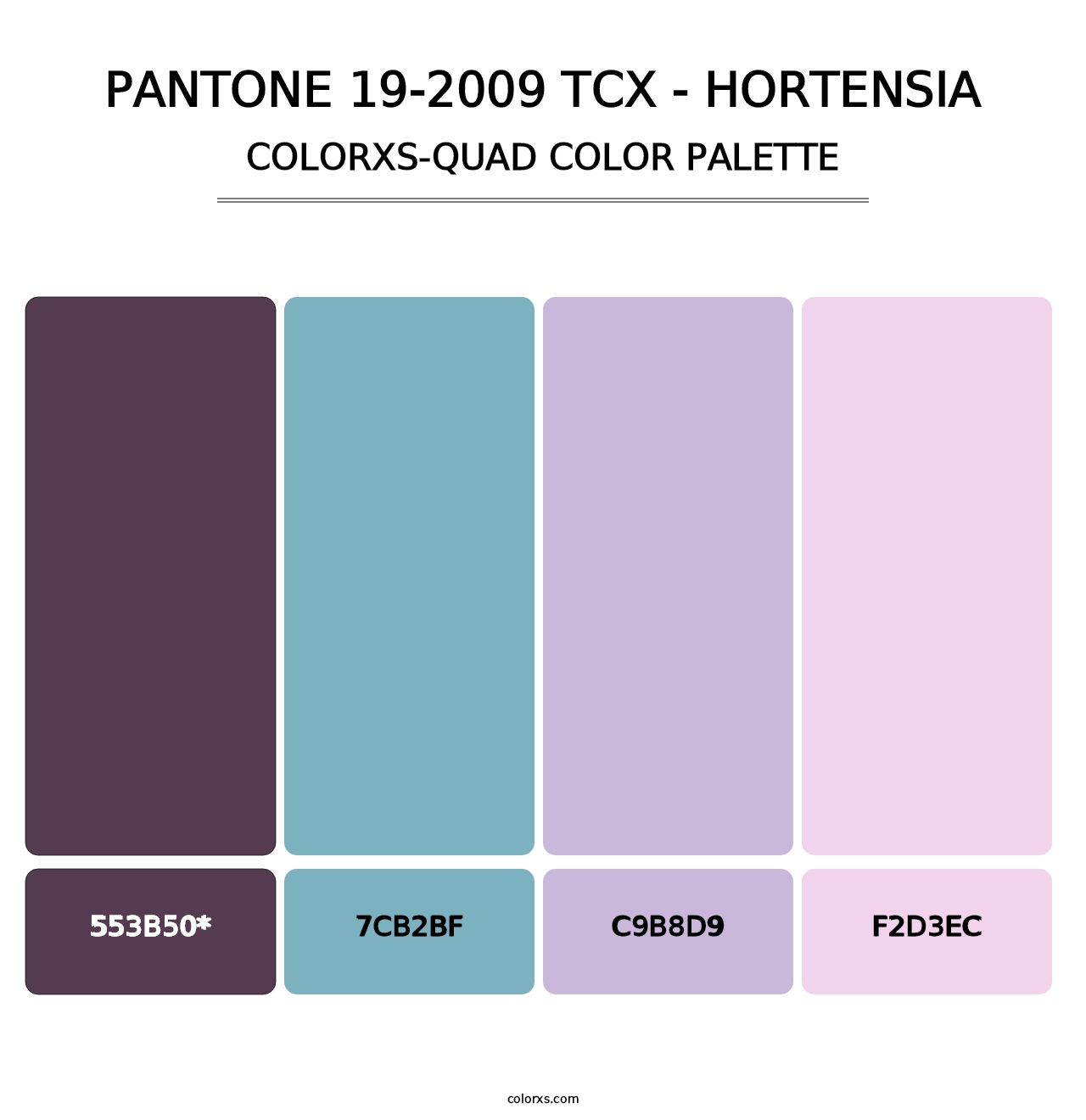 PANTONE 19-2009 TCX - Hortensia - Colorxs Quad Palette