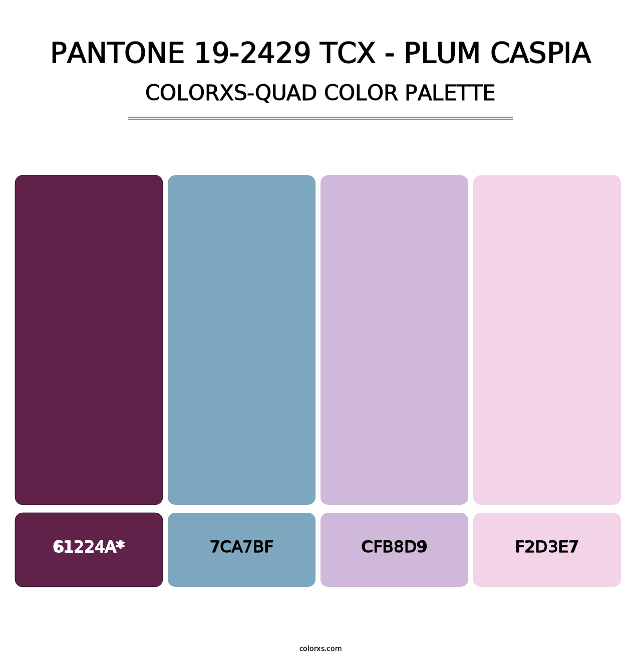 PANTONE 19-2429 TCX - Plum Caspia - Colorxs Quad Palette