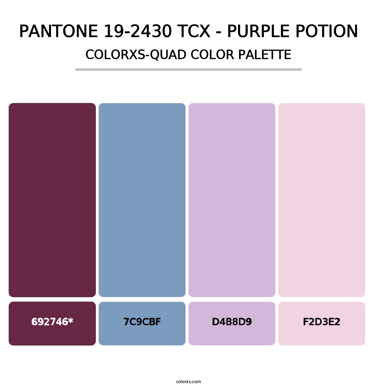 PANTONE 19-2430 TCX - Purple Potion - Colorxs Quad Palette