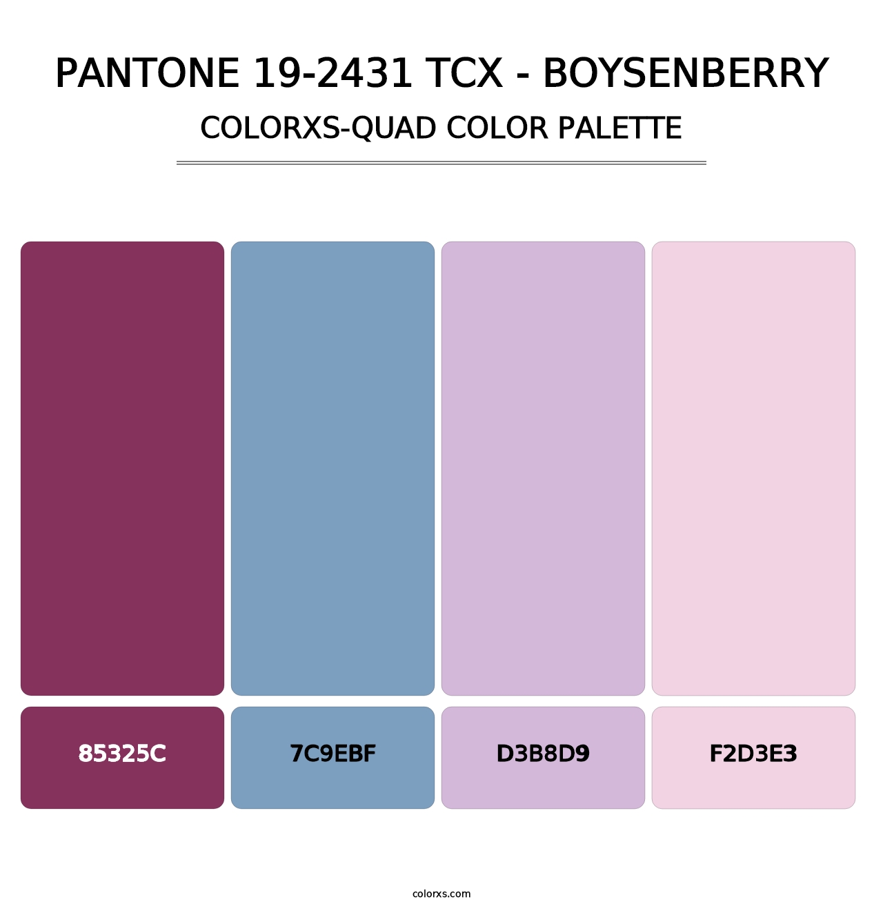 PANTONE 19-2431 TCX - Boysenberry - Colorxs Quad Palette