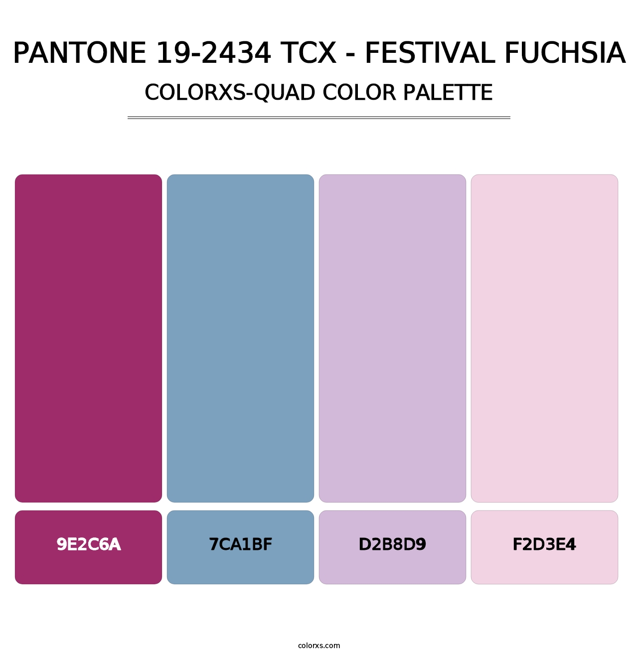 PANTONE 19-2434 TCX - Festival Fuchsia - Colorxs Quad Palette