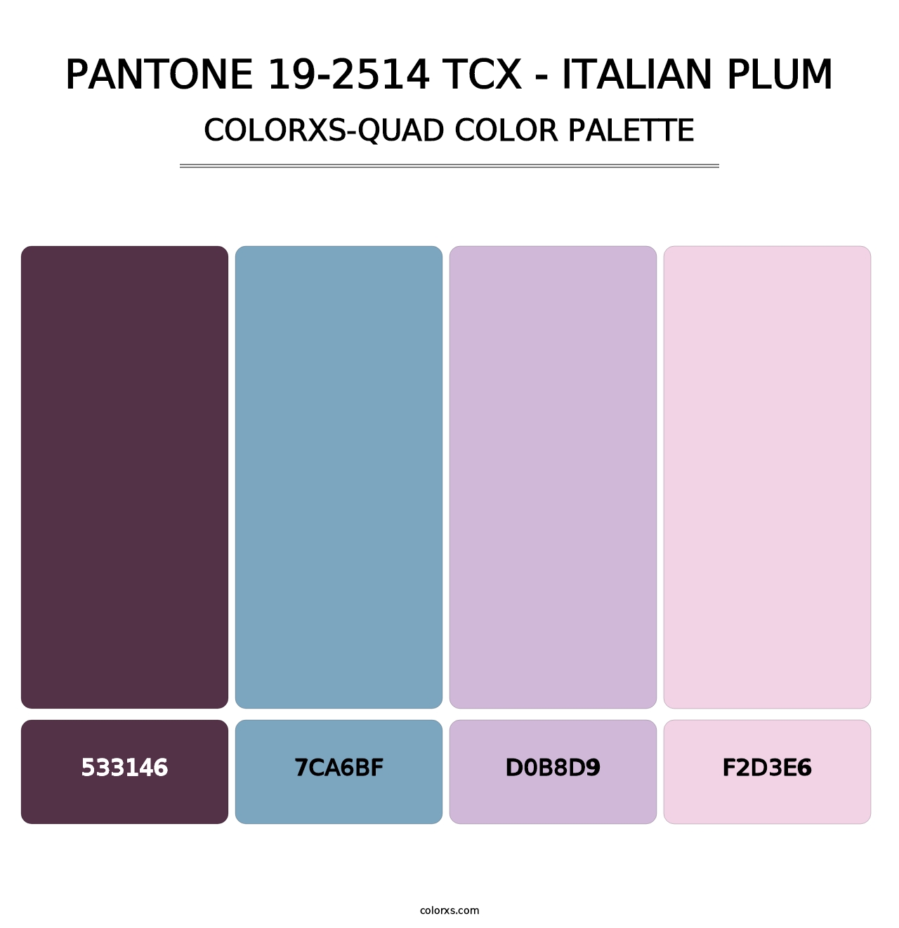 PANTONE 19-2514 TCX - Italian Plum - Colorxs Quad Palette