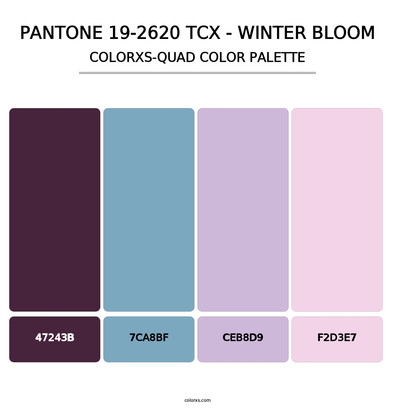 PANTONE 19-2620 TCX - Winter Bloom - Colorxs Quad Palette