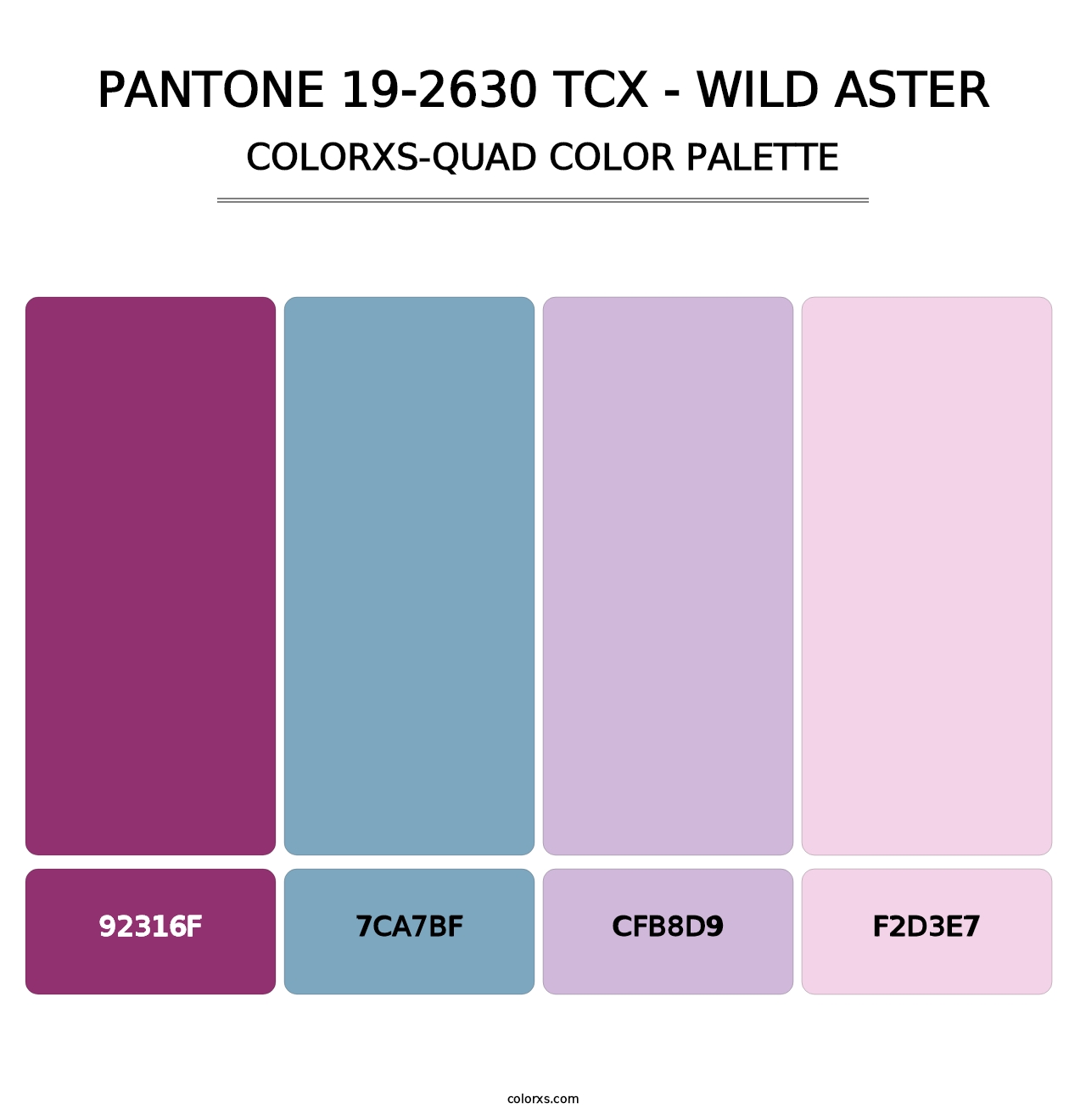 PANTONE 19-2630 TCX - Wild Aster - Colorxs Quad Palette