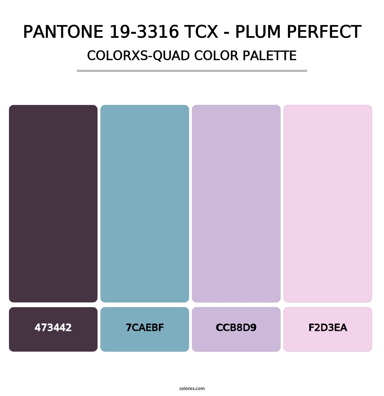 PANTONE 19-3316 TCX - Plum Perfect - Colorxs Quad Palette