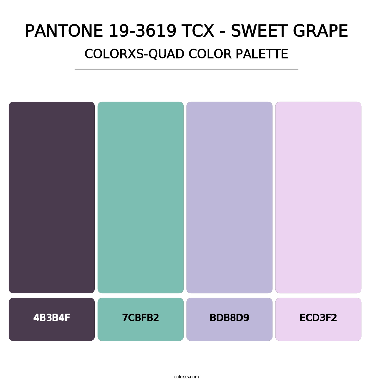 PANTONE 19-3619 TCX - Sweet Grape - Colorxs Quad Palette