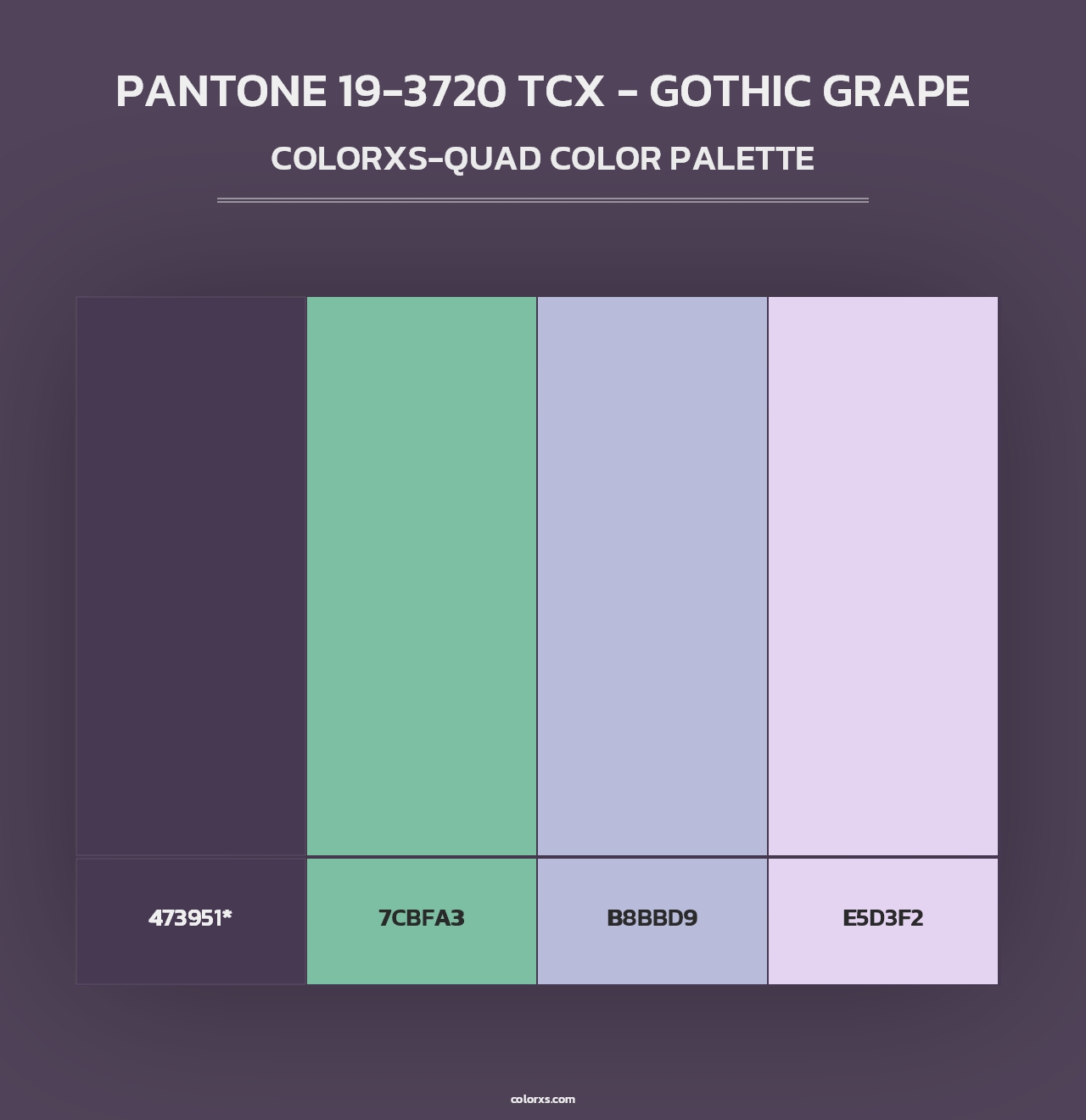 PANTONE 19-3720 TCX - Gothic Grape - Colorxs Quad Palette