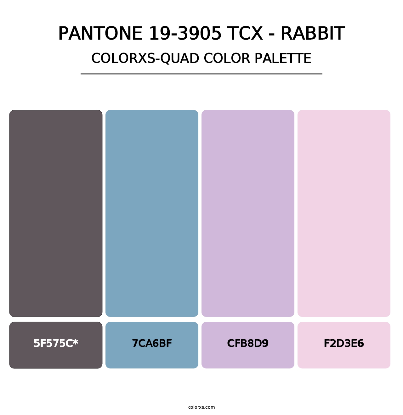 PANTONE 19-3905 TCX - Rabbit - Colorxs Quad Palette