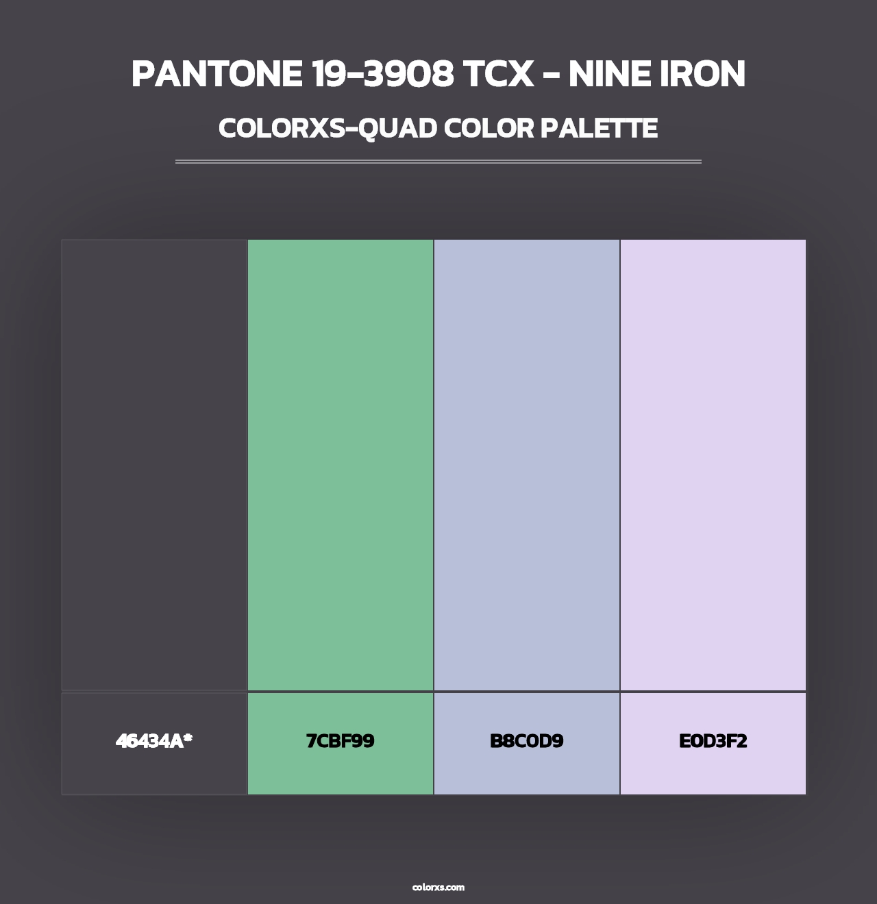 PANTONE 19-3908 TCX - Nine Iron - Colorxs Quad Palette