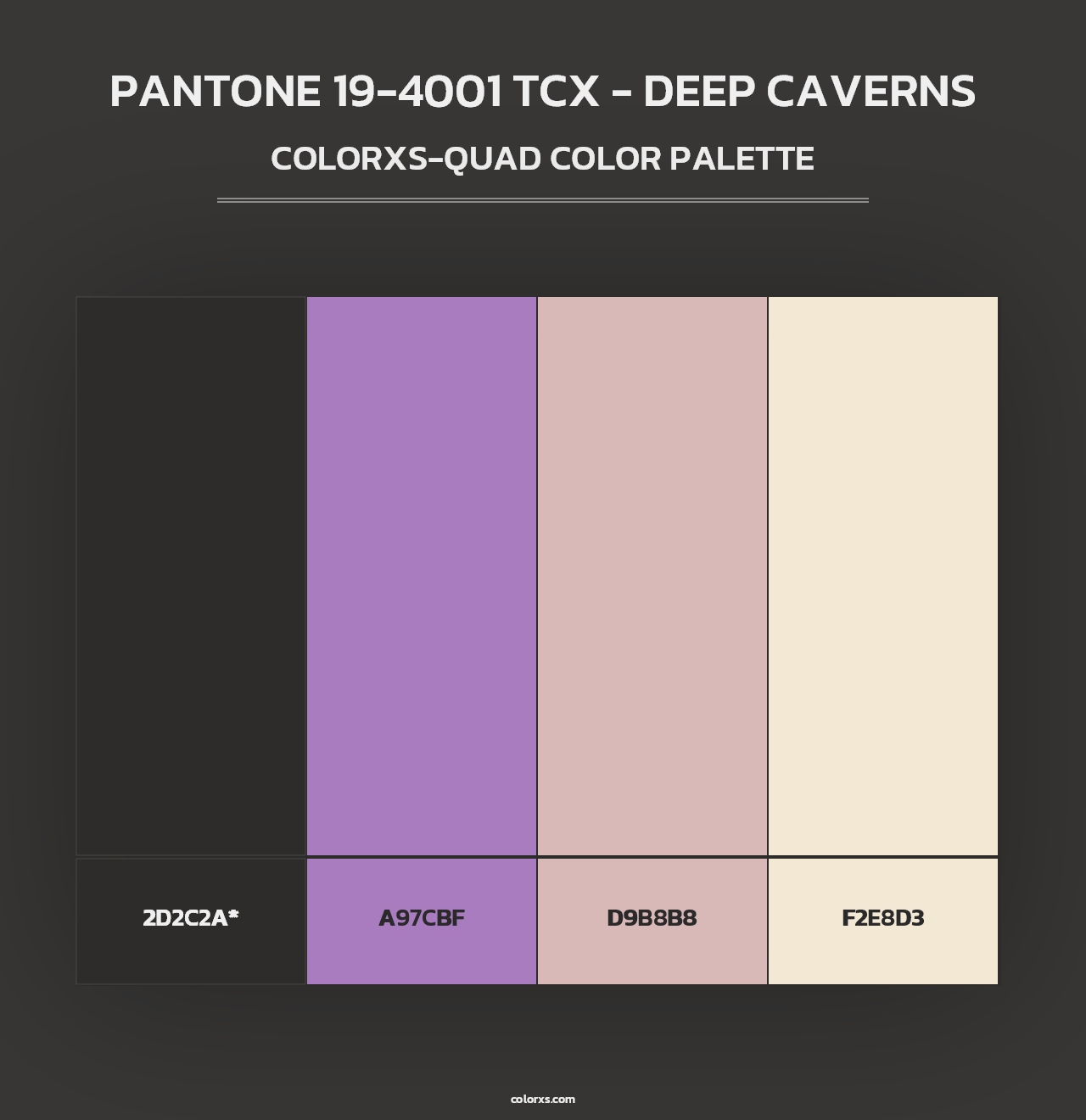PANTONE 19-4001 TCX - Deep Caverns - Colorxs Quad Palette