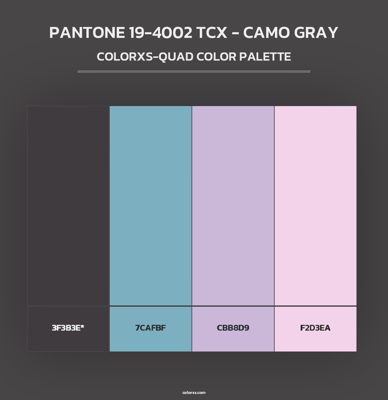 PANTONE 19-4002 TCX - Camo Gray - Colorxs Quad Palette