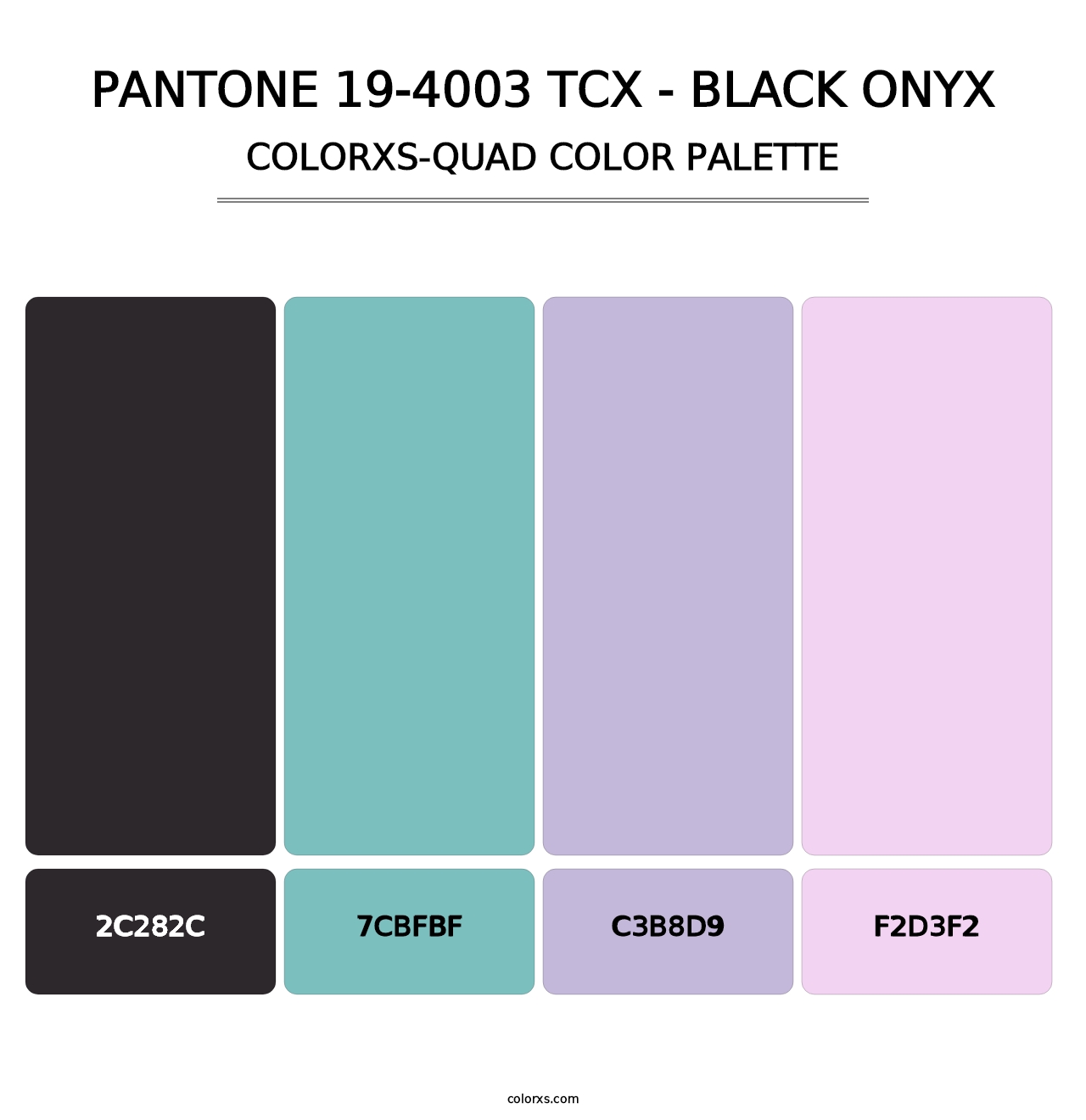 PANTONE 19-4003 TCX - Black Onyx - Colorxs Quad Palette