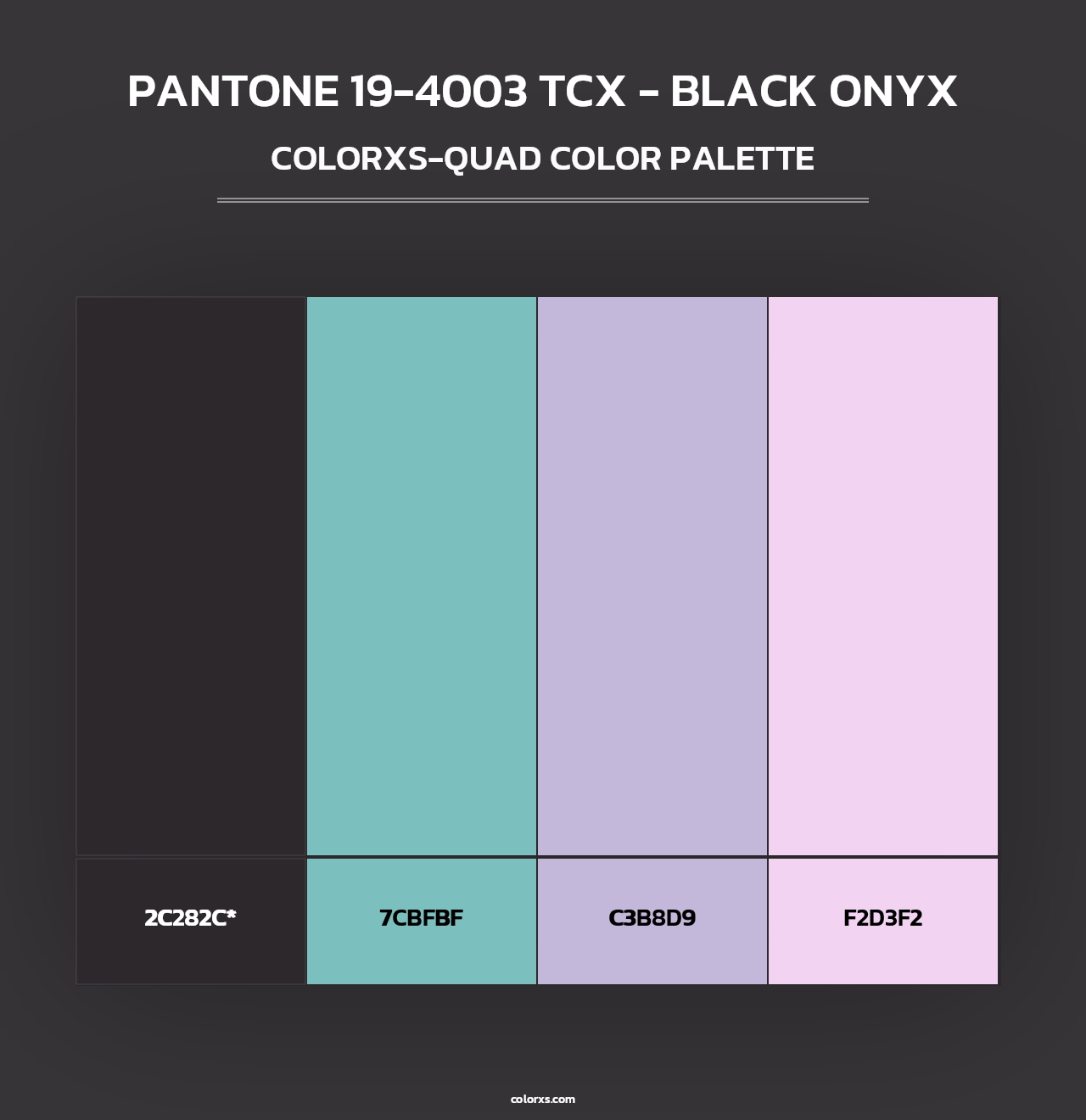 PANTONE 19-4003 TCX - Black Onyx - Colorxs Quad Palette