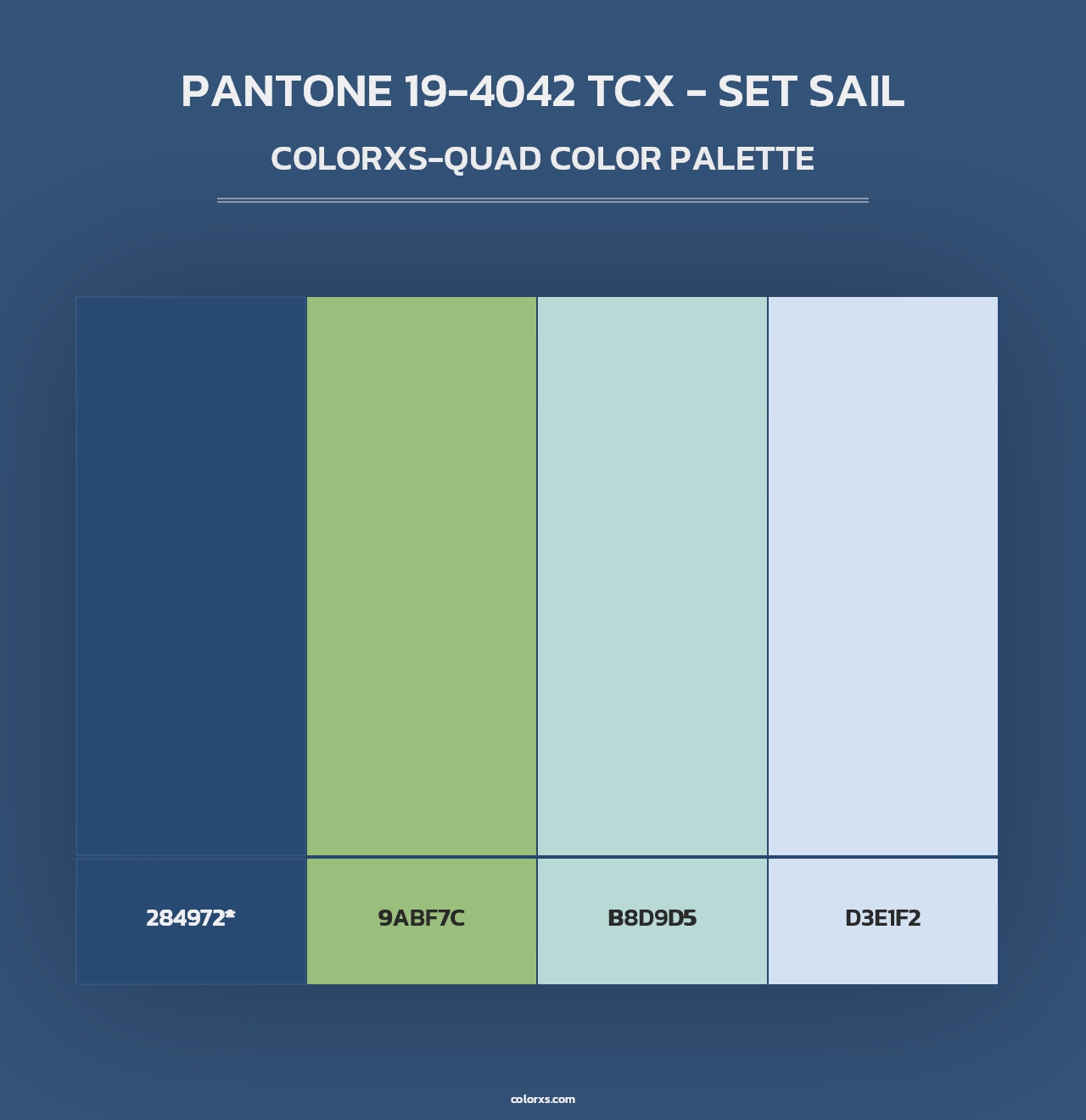 PANTONE 19-4042 TCX - Set Sail - Colorxs Quad Palette