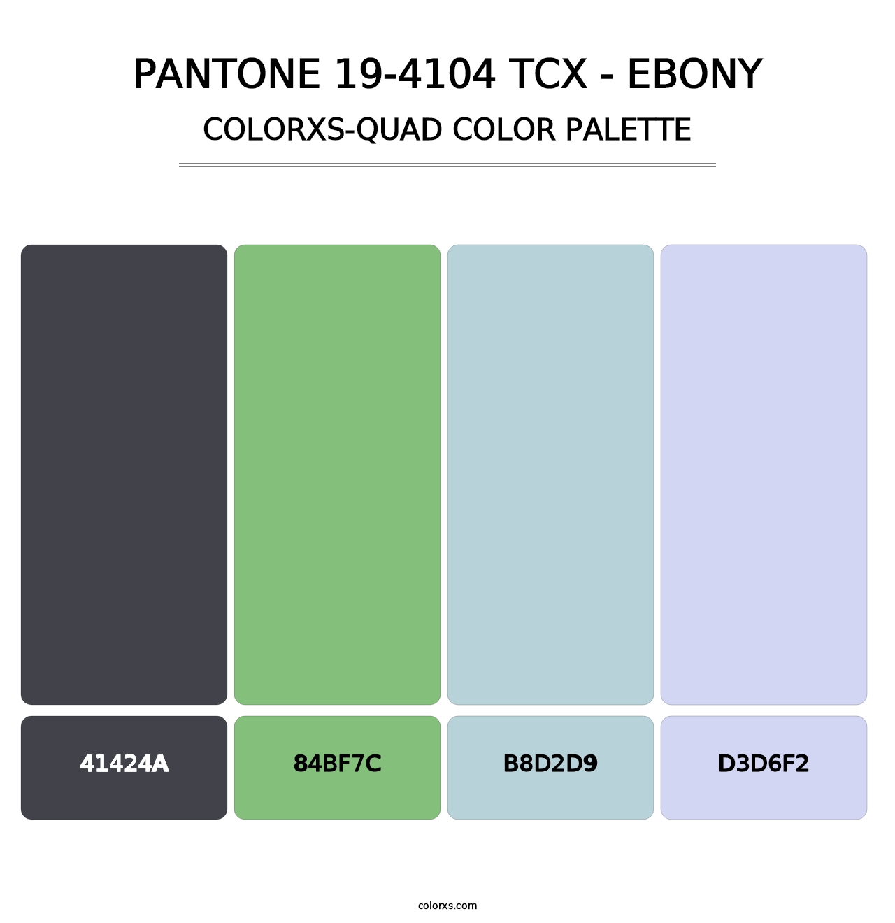 PANTONE 19-4104 TCX - Ebony - Colorxs Quad Palette