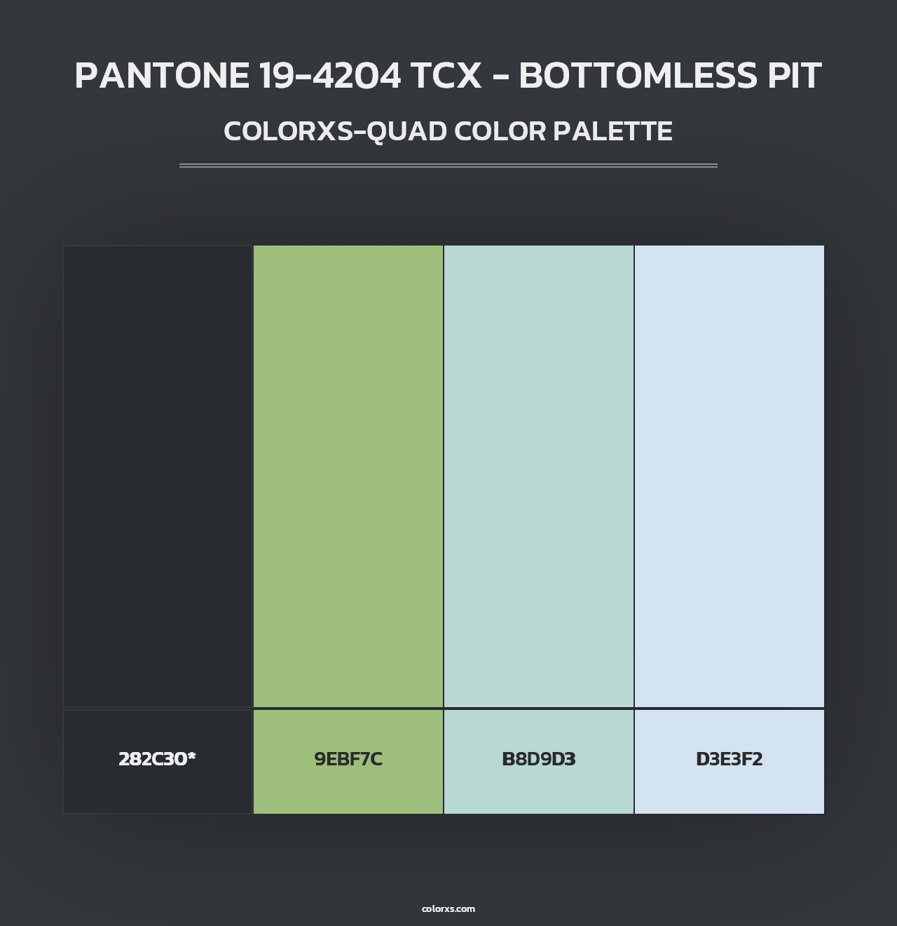 PANTONE 19-4204 TCX - Bottomless Pit - Colorxs Quad Palette