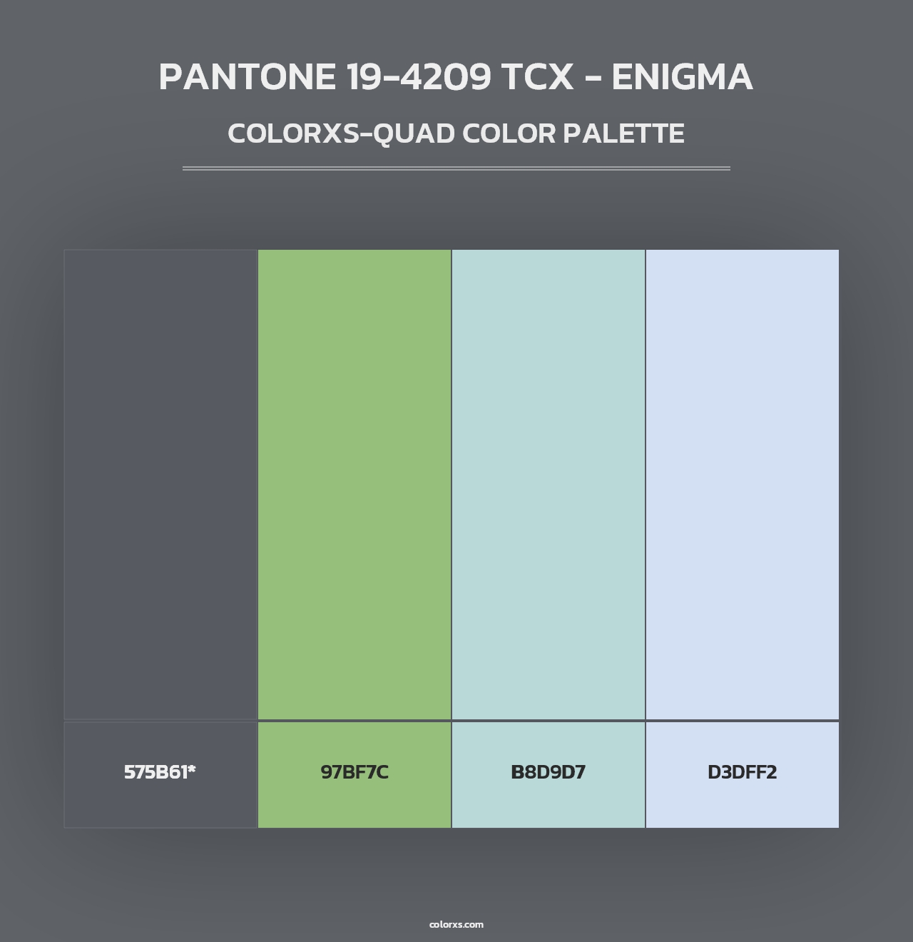 PANTONE 19-4209 TCX - Enigma - Colorxs Quad Palette