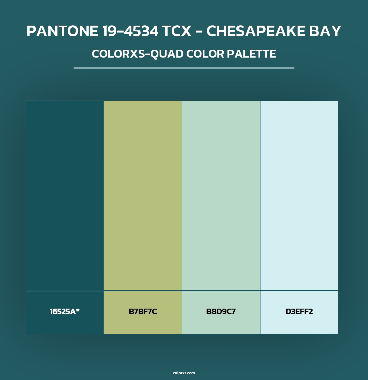 PANTONE 19-4534 TCX - Chesapeake Bay - Colorxs Quad Palette