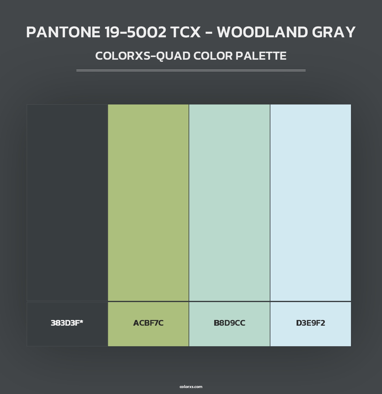 PANTONE 19-5002 TCX - Woodland Gray - Colorxs Quad Palette