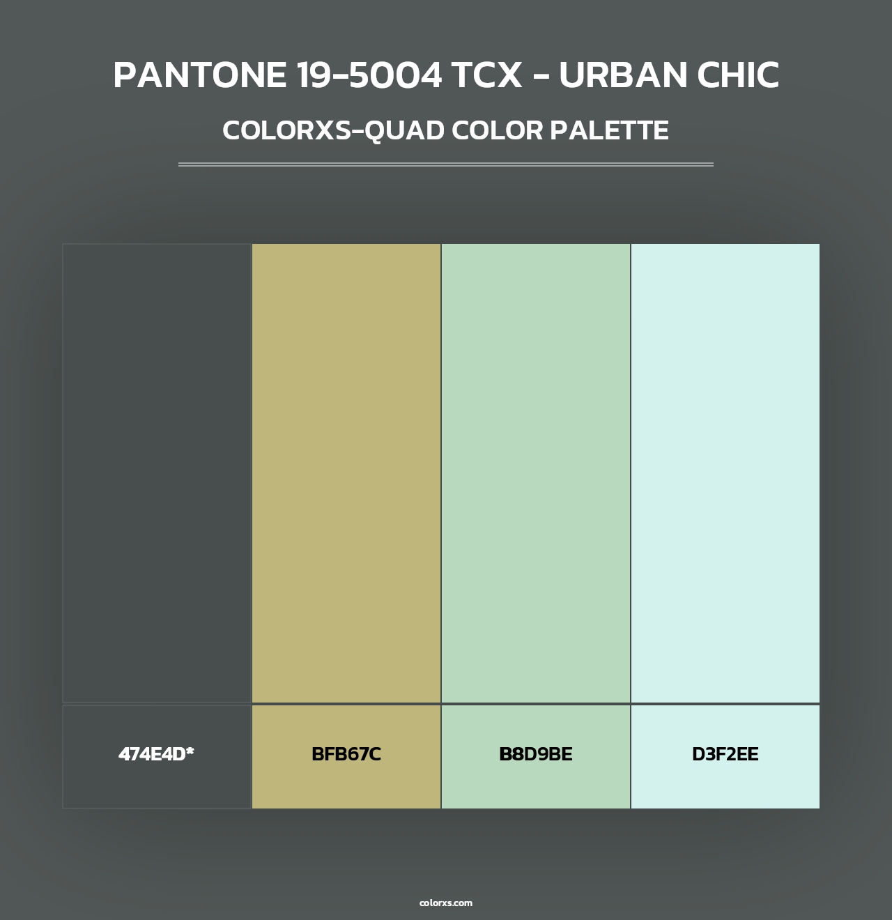 PANTONE 19-5004 TCX - Urban Chic - Colorxs Quad Palette