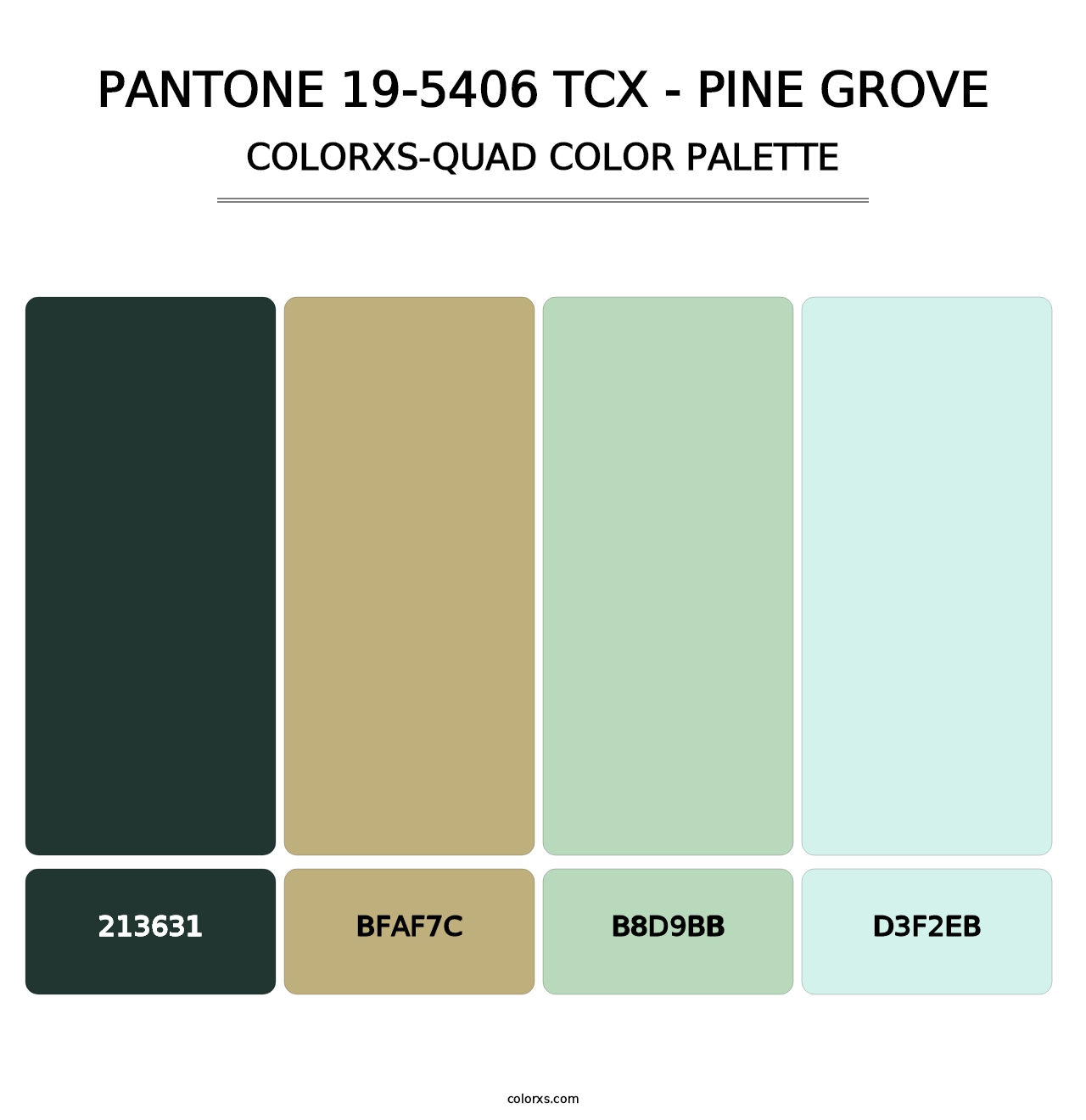 PANTONE 19-5406 TCX - Pine Grove - Colorxs Quad Palette