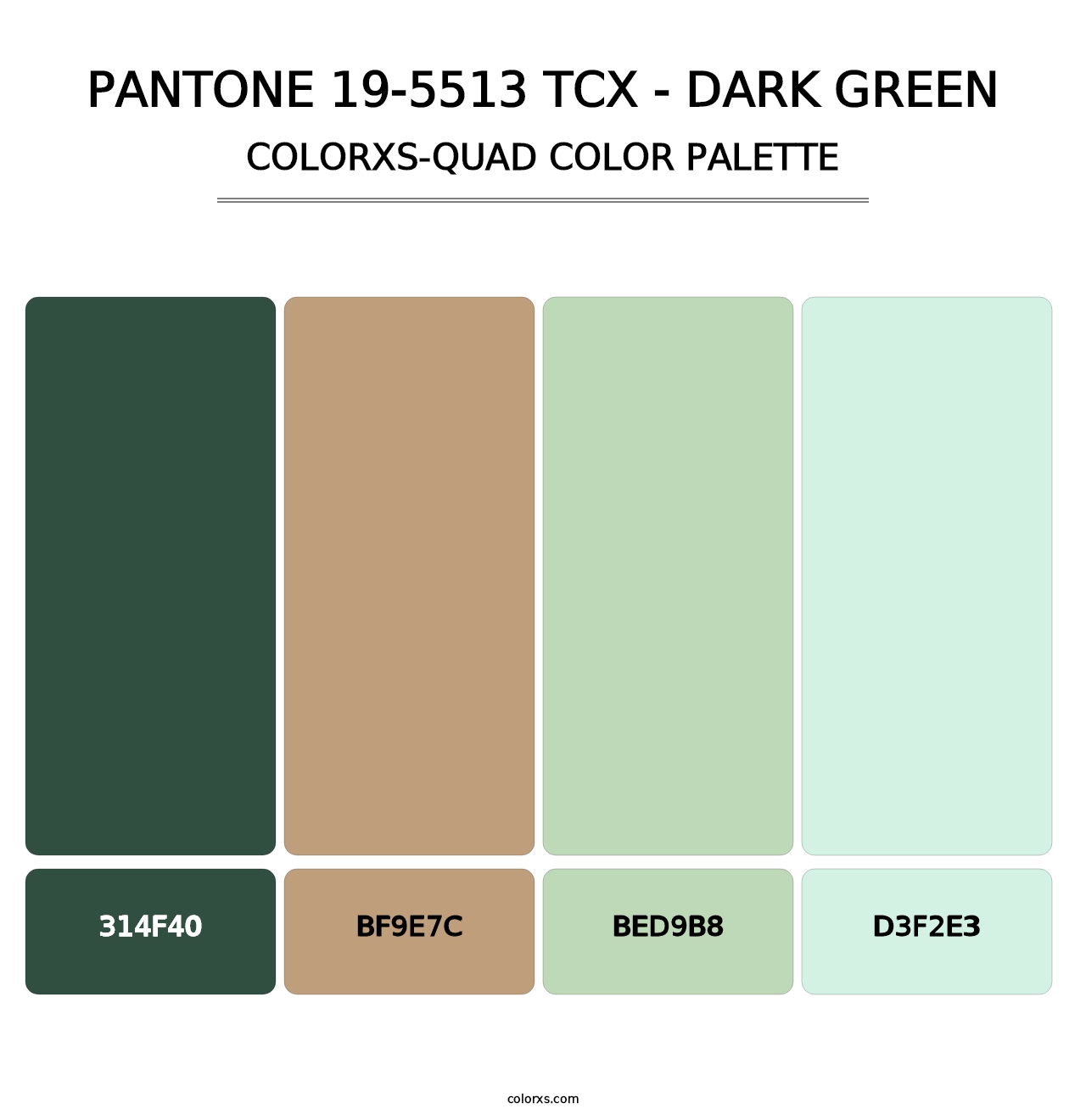 PANTONE 19-5513 TCX - Dark Green - Colorxs Quad Palette