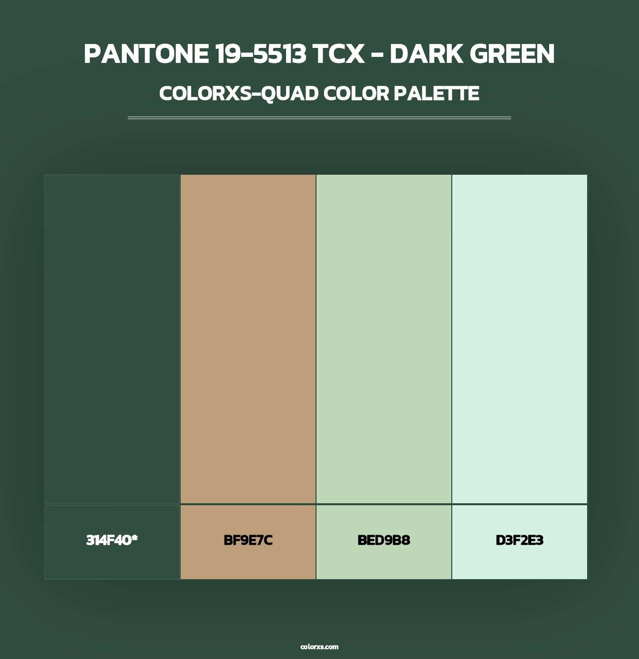 PANTONE 19-5513 TCX - Dark Green - Colorxs Quad Palette