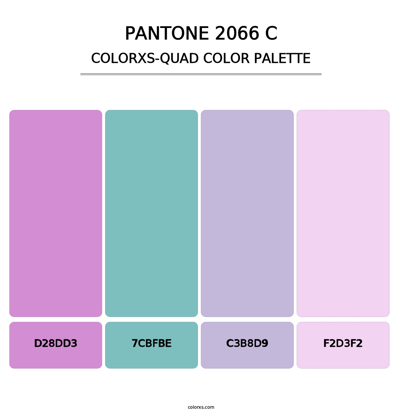 PANTONE 2066 C - Colorxs Quad Palette