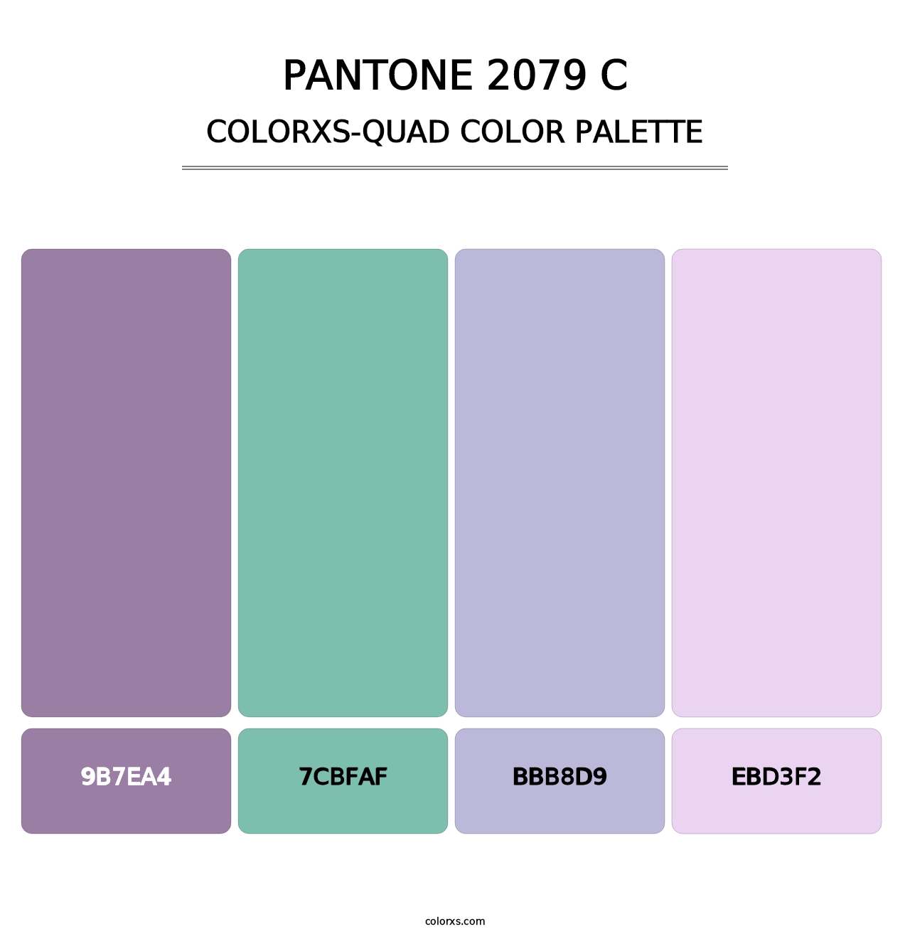 PANTONE 2079 C - Colorxs Quad Palette
