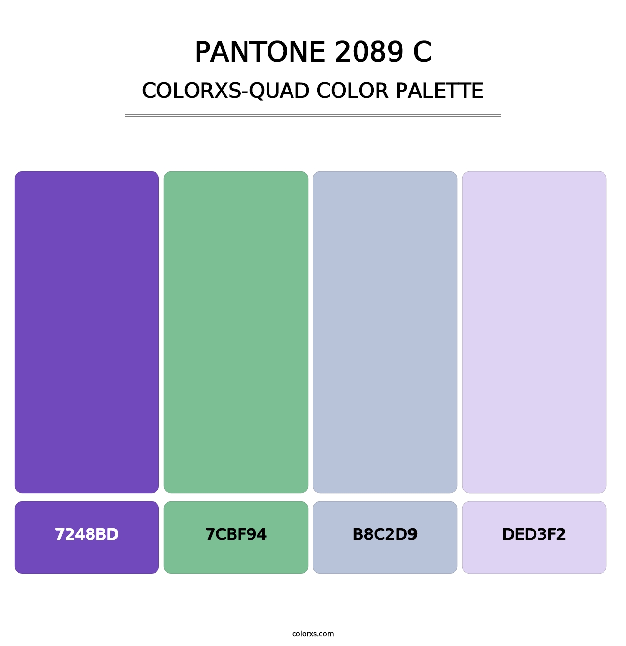 PANTONE 2089 C - Colorxs Quad Palette