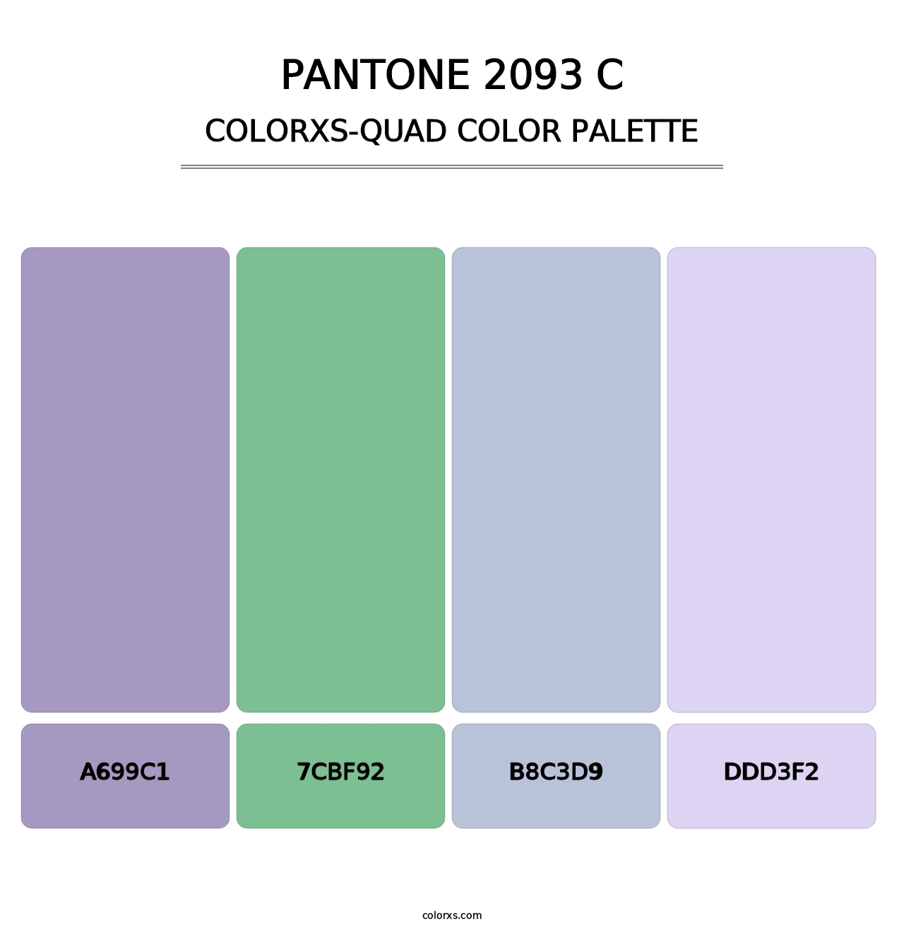 PANTONE 2093 C - Colorxs Quad Palette