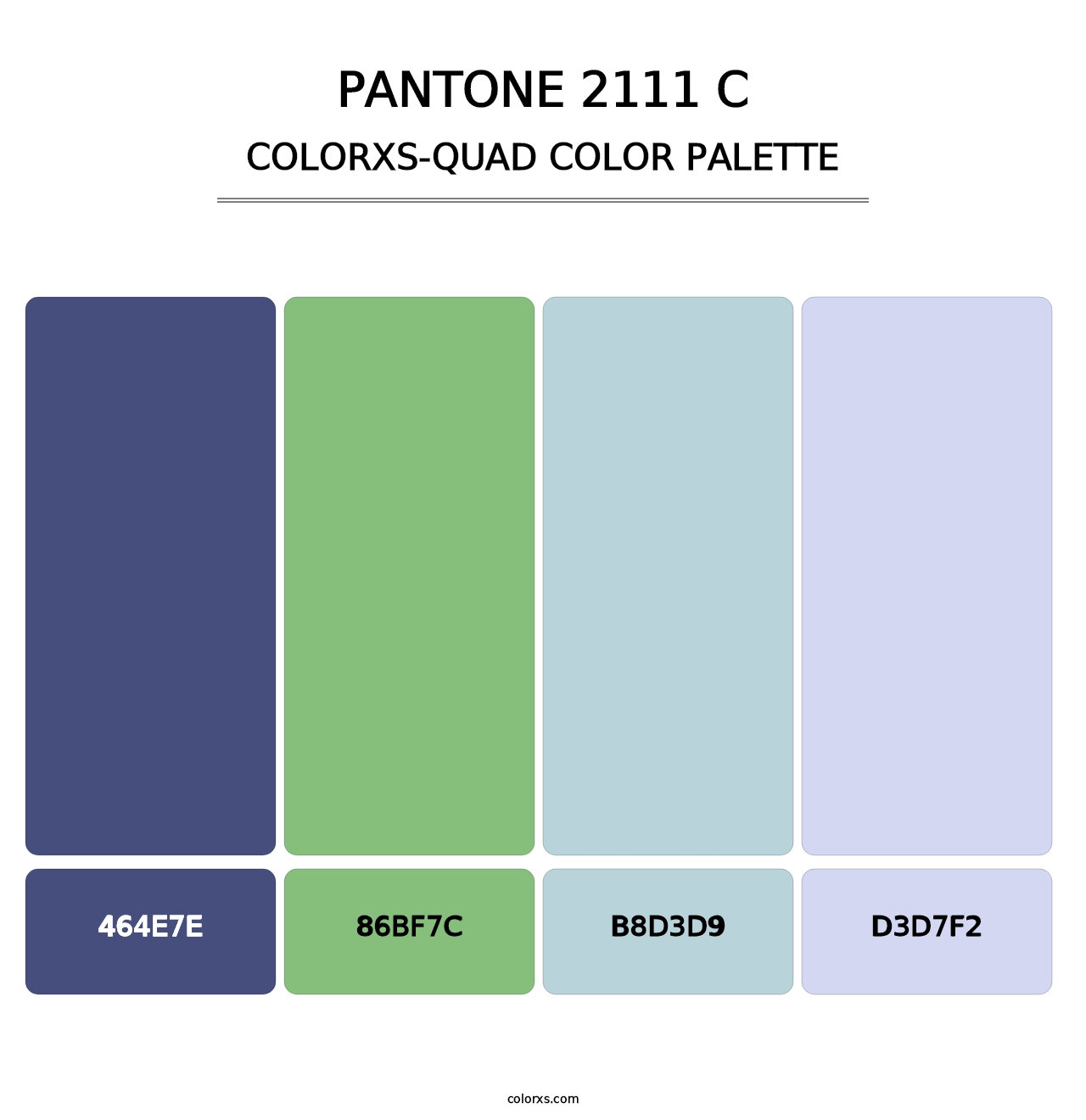 PANTONE 2111 C - Colorxs Quad Palette